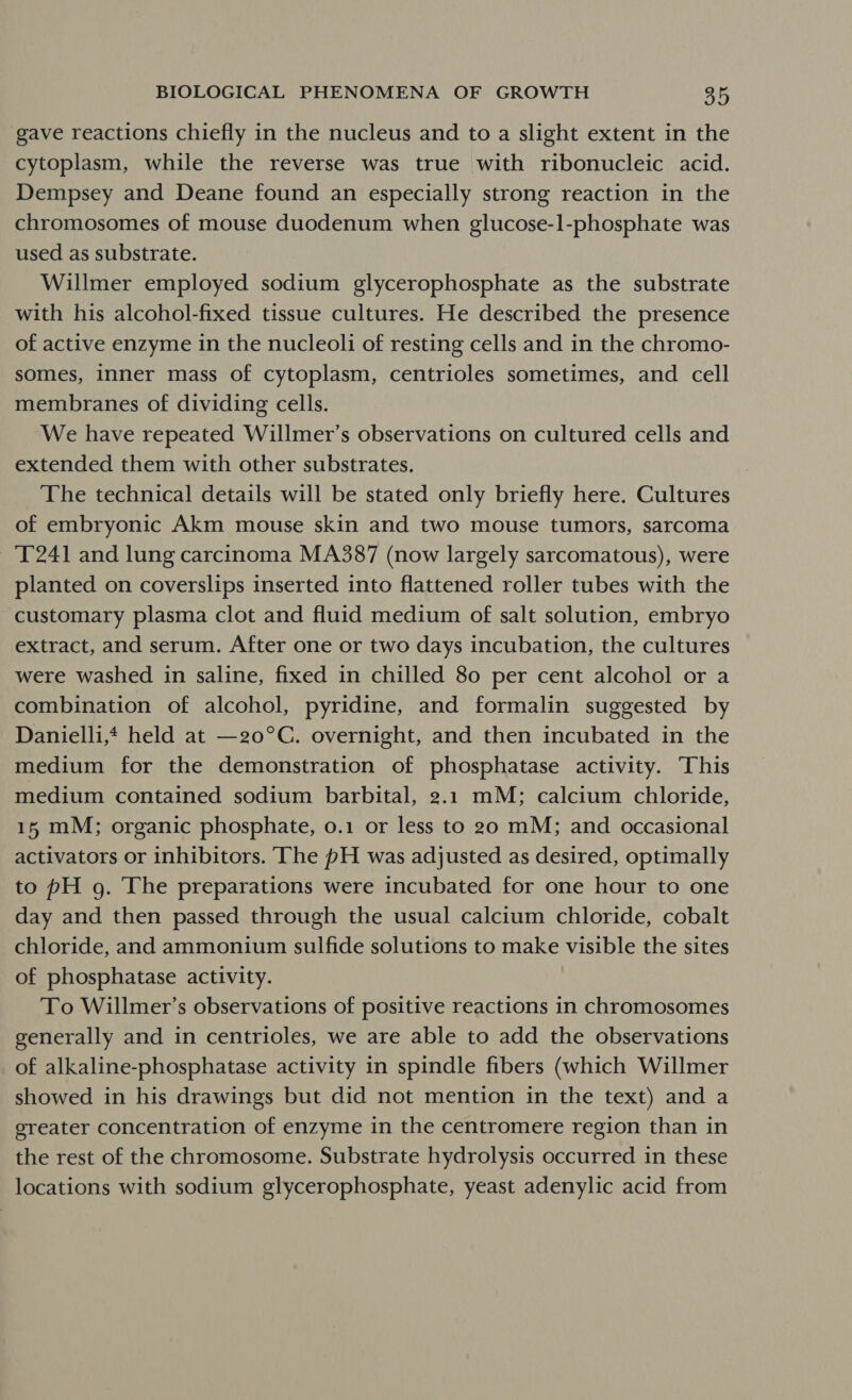 gave reactions chiefly in the nucleus and to a slight extent in the cytoplasm, while the reverse was true with ribonucleic acid. Dempsey and Deane found an especially strong reaction in the chromosomes of mouse duodenum when glucose-1-phosphate was used as substrate. Willmer employed sodium glycerophosphate as the substrate with his alcohol-fixed tissue cultures. He described the presence of active enzyme in the nucleoli of resting cells and in the chromo- somes, inner mass of cytoplasm, centrioles sometimes, and cell membranes of dividing cells. We have repeated Willmer’s observations on cultured cells and extended them with other substrates. The technical details will be stated only briefly here. Cultures of embryonic Akm mouse skin and two mouse tumors, sarcoma 1241 and lung carcinoma MA387 (now largely sarcomatous), were planted on coverslips inserted into flattened roller tubes with the customary plasma clot and fluid medium of salt solution, embryo extract, and serum. After one or two days incubation, the cultures were washed in saline, fixed in chilled 80 per cent alcohol or a combination of alcohol, pyridine, and formalin suggested by Danielli,* held at —20°C. overnight, and then incubated in the medium for the demonstration of phosphatase activity. ‘This medium contained sodium barbital, 2.1 mM; calcium chloride, 15 mM; organic phosphate, 0.1 or less to 20 mM; and occasional activators or inhibitors. The pH was adjusted as desired, optimally to pH g. The preparations were incubated for one hour to one day and then passed through the usual calcium chloride, cobalt chloride, and ammonium sulfide solutions to make visible the sites of phosphatase activity. To Willmer’s observations of positive reactions in chromosomes generally and in centrioles, we are able to add the observations of alkaline-phosphatase activity in spindle fibers (which Willmer showed in his drawings but did not mention in the text) and a greater concentration of enzyme in the centromere region than in the rest of the chromosome. Substrate hydrolysis occurred in these locations with sodium glycerophosphate, yeast adenylic acid from
