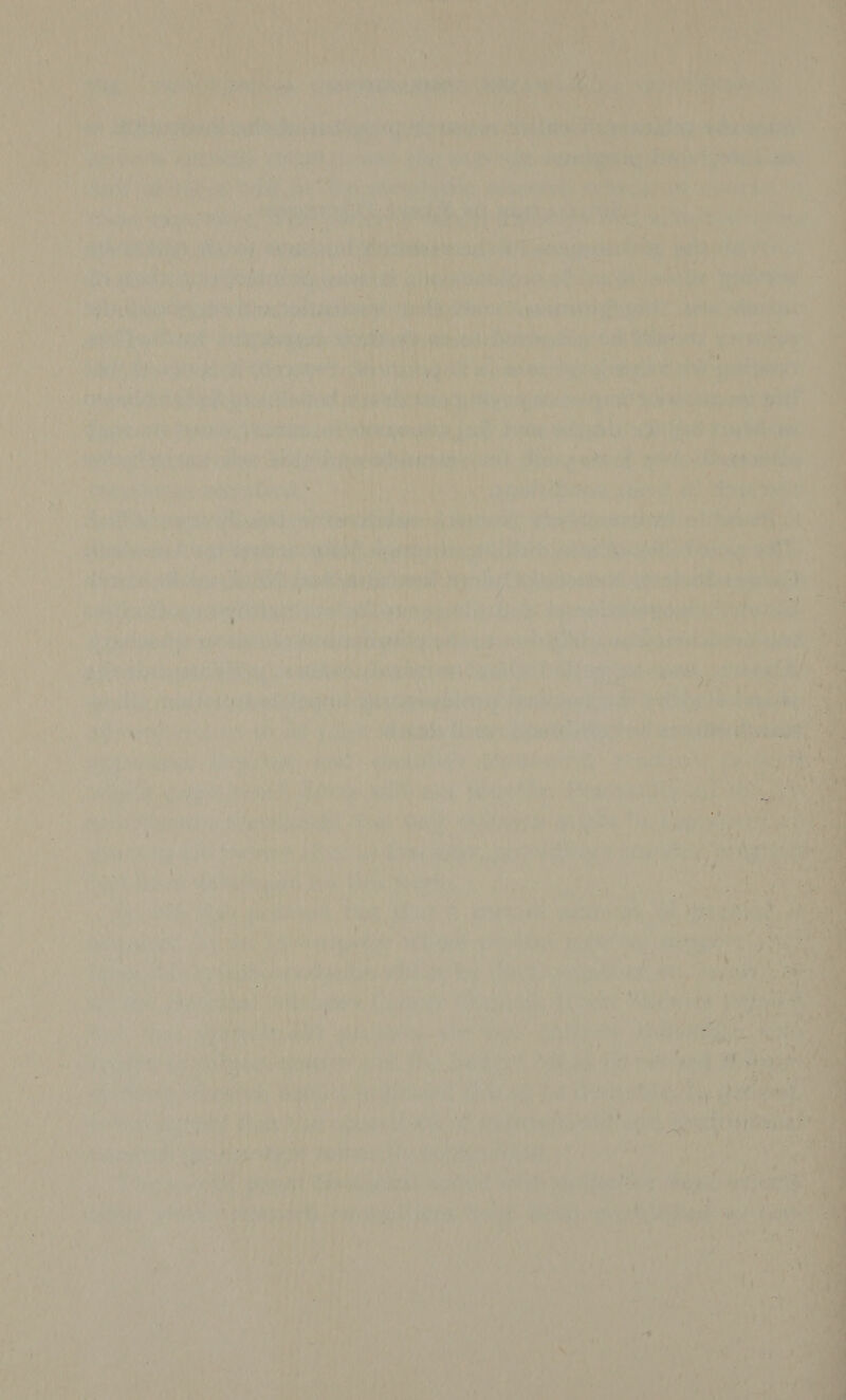 AG ats eka | wee Site . beet ‘ 4 4) 0 h By