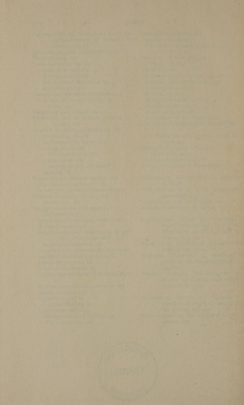         ‘ y ; thal \ We y ‘ is : iN i Le : 4 a o ; a ae os : ; ) : \ Laditienay: ah EMini! hm, ere yee est ah ; Ay vuole ; . Mas * 7 z ” Wir ot ial REM ele hen ah Re mA We | th siihedi cumbesst sk hee Lhe vireo bid na 6 eaW iy ‘> Ree oh bn 2d). ~ ; wae N pa           i ‘es tei) Coe a } y KoMans b : b, fe A ee be, ; (eee a ine oon Tk i) Me 4 6h a haut? Pee Heed eas ‘stunteg vi ; ' ¥ ’ TB aoa ae ore ‘ae af , j 7 ik rg } ch cae ie es Me Ep is ee j ai ‘ ! . x‘ wi 2. ie i : vy} : ; ¥< $ R . . ‘ 2 é y ie i ' on 4 ] 3 ' * a ay ‘ ee i* Sars | te a 4 ; aM ‘ hh be « ie . a 5 5 by j st } i 73 ' ut ¢ pty A ty overs com mens 4 , Ay ' way . am r ts ery ce iad p © / id . ai rey» fi yl iy a ; LAL TE 1 ; / i ‘ 7h, oN 1 “ited [yd M x : ae? [ey ‘ 4 ; * im 4 aii it AAA : ‘| ee Abe F i d 7 53) f - dieirdity DR) pitas Sl a Haat, Geen a Thee) t ’ + it Ps I pi, rus : 5 Ne \ *, if iv Ao \ of be aad ; », s Hae riage! if Wea PAS pea erb a4 Jy shia 10% 4 , rie t sh at £ : ‘y / ‘ i AY fe) Bim? ital a? +? lay ie a : } Te hab be 7 . f 4 r a4 Wey cur, y' 4 i i, Pilea: Laas hil ante Br aa ae a gdieiad ‘ Mi r , : y i : Katt ii Ai Wane Oi ere Pig alt aes rat, ai ' wT 7 : h n win erh 1 WA ‘ ‘ CM 1 : hd é 5 i) ia, bi al : y a i ‘ . ; , ye eis ee PN UAT | yt Abi + via bee : 40 Pind ‘3 ie y “ ; u A ny { Mak ‘ ny ~ ety A j : +o f - a i = “ae dae 4 a ) 3 . 4 ‘ he 4 4 Pr she a); AW | Bie , hw id Lege I ei re or ae wan a POs Pas Ta Ra es * uk; ean Toe ¢ i inet * tii, Reson » at s } 7 , : . rhs, ets me, he : ’ ' fi ae ‘ae is . ao He * a ran; rh ed heli, { . a f dia Hy, Me fi! eh thy tee RE Le ny ay gp ing oe As ‘ 1¥ wy ¥ mii ~ sb \ F ay al } diy if v hi ‘Aer, ‘ ay ee 4 j ‘ . ‘ , ey a : t Athy : - j to Pe Be , firs +), hal t y y PS ati ds ee mee vii  K ; - ' ke ity , he “wee iS , y? >a Ao ‘ yl a} a  oe jt v ’ vii swt eek i’ if ay i ‘ ; fey Al phew si b a iat SA ‘hed ey “a fire , i ¢ ‘ vay # ; 7 oD ; Ja , i) sOhary