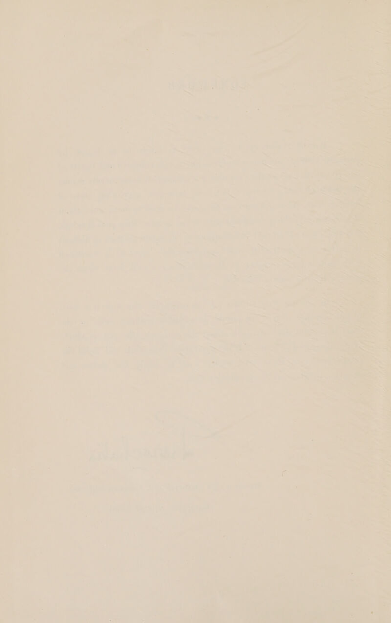                 ' - i: . | 2 sy 7 a, | es 2 = Petts rt 7 * ‘he 1 yet ie et ae ie ) Su eave? ~ 7) a hig etbont pts a es; Beal, oe : cay. ed dhe usy vr Saale pieced 9 he 9 : Loe r +450 eee : angst Aid ral er: eee any ee Ieee es os m.” — Pipe ailie ts “s sai ne Pa ee Ws Sh me ey ares &lt;a | = esa ri aE ue wenn i PD an es ' aia, Res ue orpaale rp Saale ee 7 eal on ree . ; Te apc it PFilte 708 igh eh ae tas” , ay ea 7 oy $ ; 5 ; ry ay nds oy aa oe Senay . me ie fyi i” ne 5 - ; Eat Sms oe. ‘ ‘5 i it aes a — ee Sines tae IMT i Pe, 8 on +b) ea rf te Pitere &lt;s a — . : a. : eS | Girt inc, hago &gt; Tea bo Sia eae a slain ; ! 7s vs vrs +f Va eee a — * Sr... an Phe ta beh | a : i = 7 =, ay Tris eta ar ais a a ee Sattices : 2 Mime enacts F My a Ce eat hte &lt;&lt; aes. “a ) . i * : Seis 7 F aoe ra es) wa ut ae a ae fs  a : 4 oie
