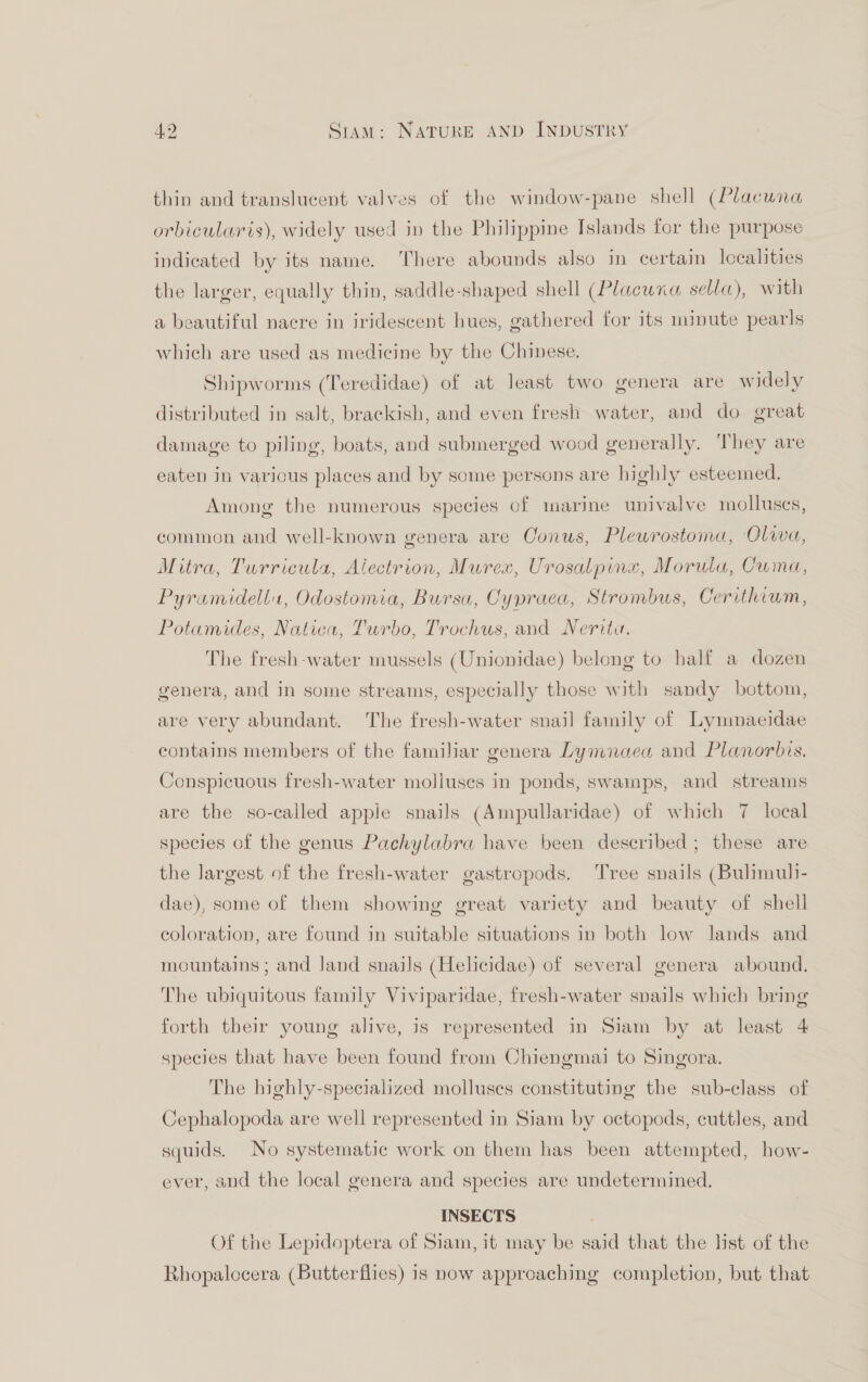 thin and translucent valves of the window-pane shell (Placuna orbicularis), widely used iv the Philippine Islands for the purpose indicated by its name. There abounds also in certain localities the larger, equally thin, saddle-shaped shell (Placuna sella), with a beautiful nacre in iridescent hues, gathered for its minute pearls which are used as medicine by the Chinese. Shipworms (Teredidae) of at least two genera are widely distributed in salt, brackish, and even fresh water, and do great damage to piling, boats, and submerged wood generally. They are eaten in various places and by some persons are highly esteemed. Among the numerous species of marine univalve molluscs, common and well-known genera are Conus, Plewrostoma, Oliva, Mitra, Turricula, Alectrion, Murex, Urosalpine, Morula, Cuma, Pyramidell, Odostomia, Bursa, Cypraca, Strombus, Cerithium, Potamides, Natica, Turbo, Trochus, and Neritu. The fresh-water mussels (Unionidae) belong to half a dozen genera, and in some streams, especially those with sandy bottom, are very abundant. The fresh-water snail family of Lymmnaeidae contains members of the familiar genera Lymnaea and Planorbis. Conspicuous fresh-water molluses in ponds, swamps, and streams are the so-called apple snails (Ampullaridae) of which 7 local species of the genus Pachylabra have been described; these are the largest of the fresh-water gastropods. Tree snails (Bulimuli- dae), some of them showing great variety and beauty of shell coloration, are found in suitable situations in both low lands and mountains ; and Jand snails (Helicidae) of several genera abound. The ubiquitous family Viviparidae, fresh-water snails which bring forth their young alive, is represented in Siam by at least 4 species that have been found from Chiengmai to Singora. The highly-specialized molluses constituting the sub-class of Cephalopoda are well represented in Siam by octopods, cuttles, and squids. No systematic work on them has been attempted, how- ever, and the local genera and species are undetermined. INSECTS Of the Lepidoptera of Siam, it may be said that the list of the Rhopalocera (Butterflies) 1s now approaching completion, but that