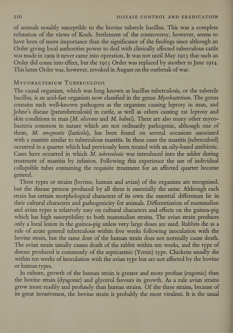 of animals notably susceptible to the bovine tubercle bacillus. This was a complete refutation of the views of Koch. Settlement of the controversy, however, seems to have been of more importance than the significance of the findings since although an Order giving local authorities power to deal with clinically affected tuberculous cattle was made in 1909 it never came into operation. It was not until May 1913 that such an Order did come into effect, but the 1913 Order was replaced by another in June 1914. This latter Order was, however, revoked in August on the outbreak of war. MYCOBACTERIUM [TUBERCULOSIS The causal organism, which was long known as bacillus tuberculosis, or the tubercle bacillus, is an acid-fast organism now classified in the genus Mycobacterium. The genus contains such well-known pathogens as the organism causing leprosy i in man, and Johne’s disease (paratuberculosis) in cattle, as well as others causing rat leprosy and skin conditions in man (M. ulcerans and M. balnei). There are also many other myco- bacteria common in nature which are not ordinarily pathogenic, although one of them, M. smegmatis (lacticola), has been found on several occasions associated with a mastitis similar to tuberculous mastitis. In these cases the mastitis (tuberculoid) occurred in a quarter which had previously been treated with an oily-based antibiotic. Cases have occurred in which M. tuberculosis was introduced into the udder during treatment of mastitis by infusion. Following this experience the use of individual collapsible tubes containing the requisite treatment for an affected quarter became general. Three types or strains (bovine, human and avian) of the organism are recognised, but the disease process produced by all three is essentially the same. Although each strain has certain morphological characters of its own the essential differences lie in their cultural characters and pathogenicity for animals. Differentiation of mammalian and avian types is relatively easy on cultural characters and effects on the guinea-pig which has high susceptibility to both mammalian strains. The avian strain produces only a local lesion in the guinea-pig unless very large doses are used. Rabbits die as a rule of acute general tuberculosis within five weeks following inoculation with the bovine strain, but the same dose of the human strain does not normally cause death. The avian strain usually causes death of the rabbit within ten weeks, and the type of disease produced is commonly of the septicaemic (Yersin) type. Chickens usually die within ten weeks of inoculation with the avian type but are not affected by the bovine or human types. In culture, growth of the human strain is greater and more profuse (eugonic) than the bovine strain (dysgonic) and glycerol favours its growth. As a rule avian strains grow more readily and profusely than human strains. Of the three strains, because of its great invasiveness, the bovine strain is probably the most virulent. It is the usual