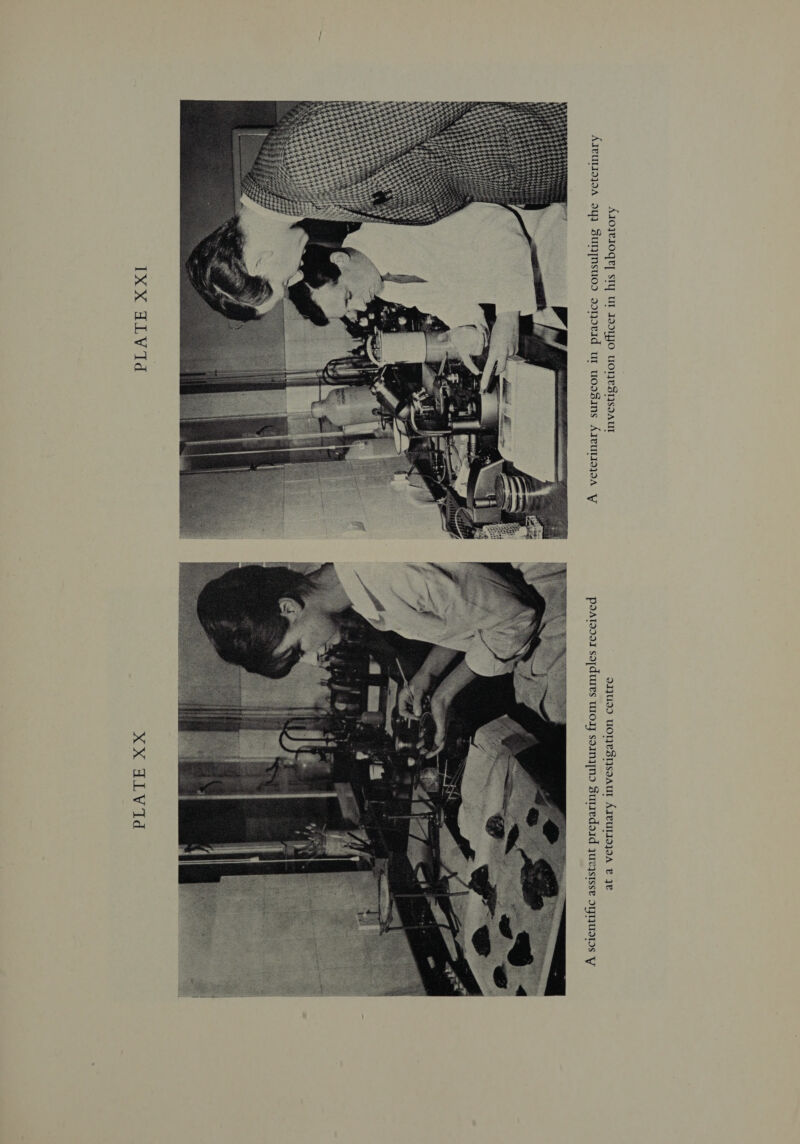 BIVAd hex x PCAC) Go   inary Iting the veter fficer in his laboratory inary surgeon in practice consu Investigation oO A veter Itures from samples received nt preparing cu ata veterinary Investigation centre A scientific assist