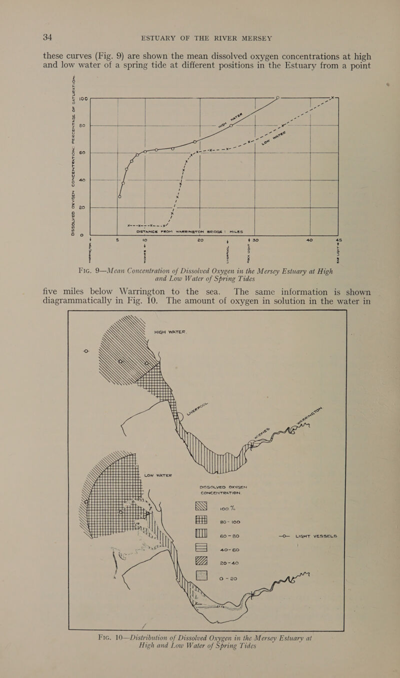 these curves (Fig. 9) are shown the mean dissolved oxygen concentrations at high and low water of a spring tide at different positions in the Estuary from a point 100 80    60       20   DISSOLVED OXYGEN CONCENTRATION: PERCENTAGE OF SATURATION.  OISTANCE FROM WARRINGTON BRIDGE: MILES a UveRPOOL + ROCK UGHT Bar uGHT?e &amp; WARRINGTON &lt;- Fic. 9—Mean Concentration of Dissolved Oxygen in the Mersey Estuary at High and Low Water of Spring Tides five miles below Warrington to the sea. The same information is shown diagrammatically in Fig. 10. The amount of oxygen in solution in the water in DISSOLVED OXYGEN CONCENTRATION. BO- 100 60 ~- 80 -O— LIGHT VESSELS ’ 40-60 20-40 O= 2d 7ONDEEZ  Fic, 10—Distribution of Dissolved Oxygen in the Mersey Estuary at High and Low Water of Spring Tides