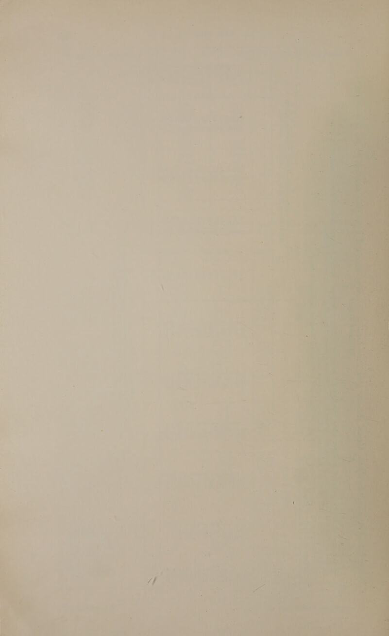 » a —_ / _ a ut Lie 7. ae palo  ae +    f a” oe a 4  3 — ¥ ae ee Kev p ae ios ; 3  Pap