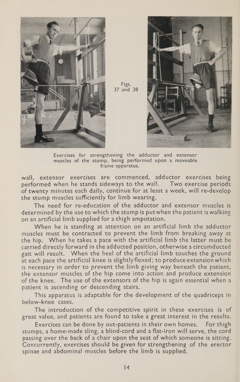 Figs. 37 and 38  Exercises for strengthening the adductor and extensor muscles of the stump, being performed upon a moveable frame apparatus. wall, extensor exercises are commenced, adductor exercises being performed when he stands sideways to the wall. Two exercise periods of twenty minutes each daily, continue for at least a week, will re-develop the stump muscles sufficiently for limb wearing. The need for re-education of the adductor and extensor muscles is determined by the use to which the stump is put when the patient is walking on an artificial limb supplied for a thigh amputation. When he is standing at attention on an artificial limb the adductor muscles must be contracted to prevent the limb from breaking away at the hip. When he takes a pace with the artificial limb the latter must be carried directly forward in the adducted position, otherwise a circumducted gait will result. When the heel of the artificial limb touches the ground at each pace the artificial knee is slightly flexed; to produce extension which is necessary in order to prevent the limb giving way beneath the patient, the extensor muscles of the hip come into action and produce extension of the knee. The use of the extensors of the hip is again essential when a patient is ascending or descending stairs. This apparatus is adaptable for the development of the quadriceps in below-knee cases. The introduction of the competitive spirit in these exercises is of great value, and patients are found to take a great interest in the results. Exercises can be done by out-patients in their own homes. For thigh stumps, a home-made sling, a blind-cord and a flat-iron will serve, the cord passing over the back of a chair upon the seat of which someone is sitting. Concurrently, exercises should be given for strengthening of the erector spinae and abdominal muscles before the limb is supplied. l4