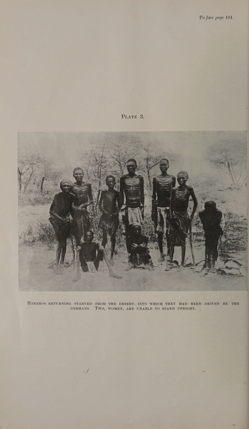 To face page 101. 4 PrATE sD Two, WOMEN, ARE UNABLE TO STAND UPRIGHT, HEREROS RETURNING STARVED FROM THE DESERT, INTO WHICH THEY HAD BEEN DRIVEN BY THE GERMANS 