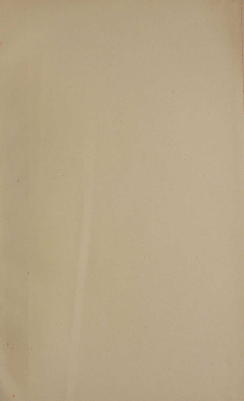  ia = on sb he FZ    ‘ ; 2 i i “ ' f ) 'y ‘ \ i ie , ° { F \ } ’ s 1 i Ny, Z i — ¢ iF iS 5 : ) j + y FY . *. a bp. ee NF i « pi bi vgn pith ' Fr uJ m a i t, oe, A). 7 NS A | F ta a! Wa mies a 2 q it - } , rR) Lae ‘ , a th { 1 Cao bd Sates oat a WR he ae 1 ¥ , iT Wh \ 2 , an ey et : q . . Oi a i ye = . of { 2 \ ‘ ¢ ‘ i > 15} Le aul i A s a Mae A fue . > , , as Ae ¢ ‘ a