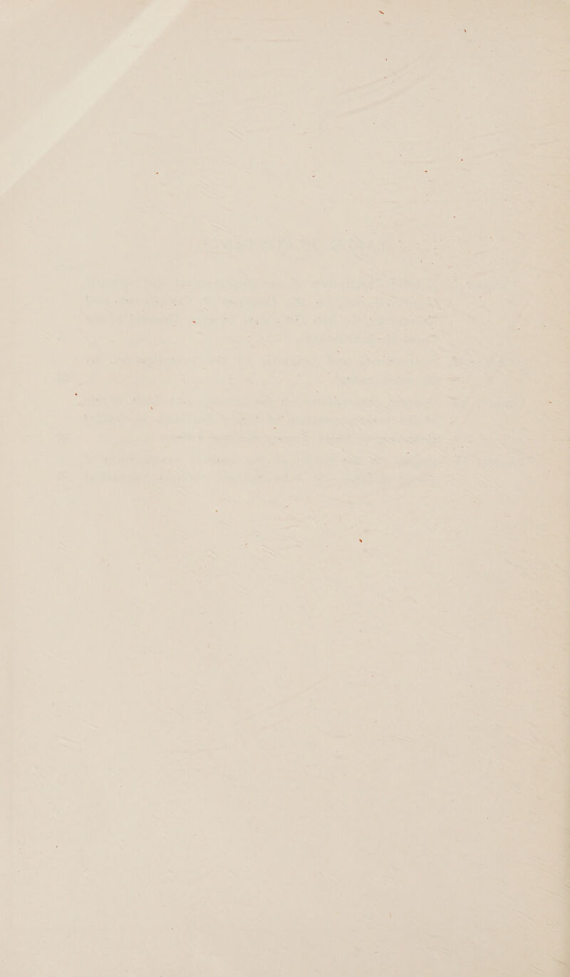  A of , *“y ~ &lt;r) Se 45 ans ia ee 2 ; Va &gt; et APA RES a Seep lige, ¢ 5.0 om is - “s L ~~ 4 “a x &gt; ae -“ a Ao) @ . - i “ne she axl 4 - i A £ a os ~ Pe rs ; ae ed: ; he ve ht eye Ma ihe. re o&gt; ~  haath eth, x i * ca ier i are &gt; i. wis! ora (a 7 oe: ei wet! ight a. Ne a ft &gt; in.’ *  ae           of 57 ae ae So ee a Ly * » 7 2 hee al, tina Sega vig 7 eae : Siete hk aaa whens ne Syd. Sieeeas9 ys yee &lt;a “ipa ed    