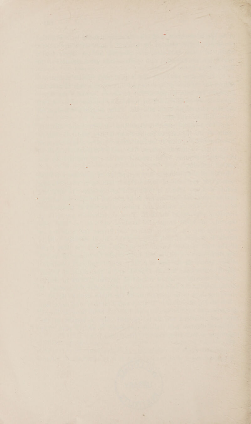 , ¥ =r :&gt; % hae  + Le 7 kb ons ae i ‘ oda 2s 5 ~ wre 4 7s al . : w'« 7 Vy ~*~ 4 * i ae % ed * i + &gt; 7 4 a 5 b. ~ i * ~ T . ™ ~ ’ ni ——s : oe . Fy . 2 s Y 1 ‘ - r = Se, = . i} * {Poe ~ ~ ‘ ‘ is : 1 ' 1% yi : . . 5 i L. . 4 j = ‘ a i ; “ = - yer ; 7 = ' . ‘ 1 al * x : - ; 4 n vs ' &lt; s As — ¢ ae 7 {     — ea dr Lads ae ‘ 2 oe : sa fon a a hd Bg eee ; cs iy halen by, Gilera ee