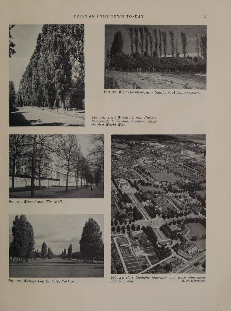 TREES AND THE TOWN TO-DAY wf  Fic. 19. (Left) Woodcote, near Purley. Promenade de Verdun, commemorating the first World War.    oon es Fic. 23. Port Sunlight. Guernsey and wych elms along Fic. 22. Welwyn Garden City, Parkway. The Diamond. E. N. Hemmings.