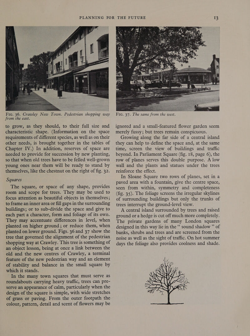   Fic. 36. Crawley New Town. Pedestrian shopping wa from the east. to grow, as they should, to their full size and characteristic shape. (Information on the space requirements of different species, as well as on their other needs, is brought together in the tables of Chapter IV.) In addition, reserves of space are needed to provide for succession by new planting, so that when old trees have to be felled well-grown young ones near them will be ready to stand by themselves, like the chestnut on the right of fig. 32. Squares The square, or space of any shape, provides room and scope for trees. They may be used to focus attention as beautiful objects in themselves; to frame an inner area or fill gaps in the surrounding buildings; or to sub-divide the space and give to each part a character, form and foliage of its own. They may accentuate differences in level, when planted on higher ground; or reduce them, when planted on lower ground. Figs. 36 and 37 show the tree that governed the alignment of the pedestrian shopping way at Crawley. This tree is something of an object lesson, being at once a link between the old and the new centres of Crawley, a terminal feature of the new pedestrian way and an element of stability and balance in the small square by which it stands. In the many town squares that must serve as roundabouts carrying heavy traffic, trees can pre- serve an appearance of calm, particularly when the design of the square is simple, with wide stretches of grass or paving. From the outer footpath the colour, pattern, detail and scent of flowers may be  FIG. 37. The same from the ee ignored and a small-featured flower garden seem merely fussy; but trees remain conspicuous. Growing along the far side of a central island they can help to define the space and, at the same time, screen the view of buildings and traffic beyond. In Parliament Square (fig. 18, page 6), the row of planes serves this double purpose. A low wall and the plants and statues under the trees reinforce the effect. In Sloane Square two rows of planes, set in a paved area with a fountain, give the centre space, seen from within, symmetry and completeness (fig. 35). The foliage screens the irregular skylines of surrounding buildings but only the trunks of trees interrupt the ground-level view. A central island surrounded by trees and raised ground or a hedge is cut off much more completely. The private gardens of many London squares designed in this way lie in the “ sound shadow ” of banks, shrubs and trees and are screened from the noise as well as the sight of traffic. On hot summer days the foliage also provides coolness and shade. 