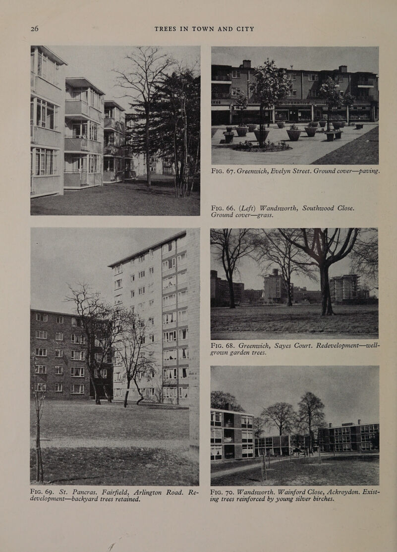  Fic. 67. Greenwich, Evelyn Street. Ground cover—paving. Fic. 66. (Left) Wandsworth, Southwood Close. Ground cover—grass.   Fic. 68. Greenwich, Sayes Court. Redevelopment—well- grown garden trees.  Ee eo: oe eS ee aS ee Fic. 69. St. Pancras. Fairfield, Arlington Road. Re- FiG. 70. Wandsworth. Wainford Close, Ackroydon. Exist- development—backyard trees retained. ing trees reinforced by young silver birches.