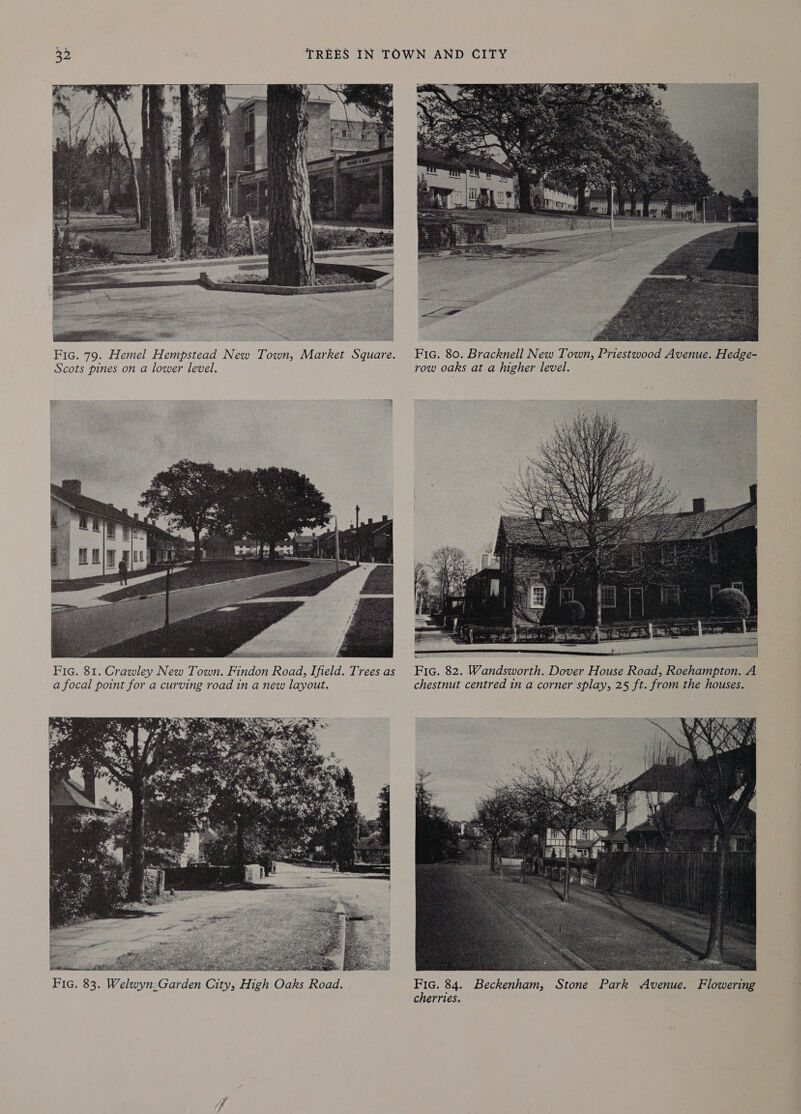    Fic. 79. Hemel Hempstead New Town, Market Square. Fic. 80. Bracknell New Town, Priestwood Avenue. Hedge- Scots pines on a lower level. row oaks at a higher level.  Fic. 81. Crawley New Town. Findon Road, Ifield. Treesas Fic. 82. Wandsworth. Dover House Road, Roehampton. A a focal point for a curving road in a new layout. chestnut centred in a corner splay, 25 ft. from the houses.  See : Sp SS ES Fic. 83. Welwyn:Garden City, High Oaks Road. Fic. 84. Beckenham, Stone Park Avenue. Flowering cherries.