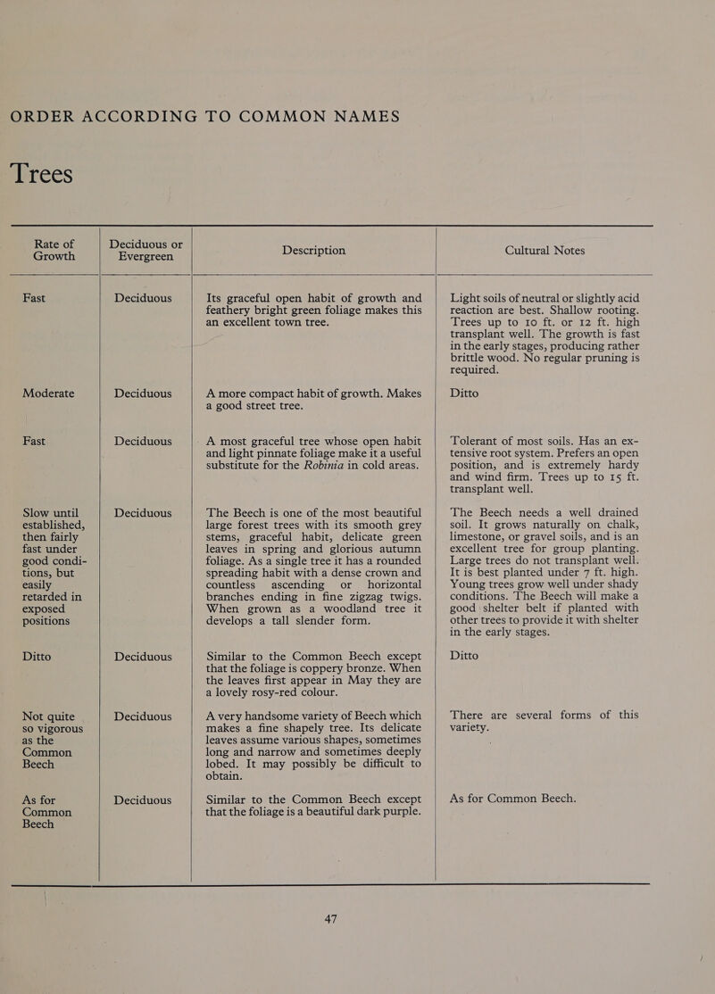        Rate of Deciduous or Decnon Growth Evergreen tee vere: Fast Deciduous Its graceful open habit of growth and feathery bright green foliage makes this an excellent town tree. Moderate Deciduous A more compact habit of growth. Makes a good street tree. Fast Deciduous - A most graceful tree whose open habit and light pinnate foliage make it a useful substitute for the Robinia in cold areas. Slow until Deciduous The Beech is one of the most beautiful established, large forest trees with its smooth grey then fairly stems, graceful habit, delicate green fast under leaves in spring and glorious autumn good condi- foliage. As a single tree it has a rounded tions, but spreading habit with a dense crown and easily countless ascending or _ horizontal retarded in branches ending in fine zigzag twigs. exposed When grown as a woodland tree it positions develops a tall slender form. Ditto Deciduous Similar to the Common Beech except that the foliage is coppery bronze. When the leaves first appear in May they are a lovely rosy-red colour. Not quite Deciduous A very handsome variety of Beech which so vigorous makes a fine shapely tree. Its delicate as the leaves assume various shapes, sometimes Common long and narrow and sometimes deeply Beech lobed. It may possibly be difficult to obtain. As for Deciduous Similar to the Common Beech except Common that the foliage is a beautiful dark purple. Beech 47  Cultural Notes  Light soils of neutral or slightly acid reaction are best. Shallow rooting. Jreéssup tostostt. Orei2att. high transplant well. The growth is fast in the early stages, producing rather brittle wood. No regular pruning is required. Ditto Tolerant of most soils. Has an ex- tensive root system. Prefers an open position, and is extremely hardy and wind firm. Trees up to 1§ ft. transplant well. The Beech needs a well drained soil. It grows naturally on chalk, limestone, or gravel soils, and is an excellent tree for group planting. Large trees do not transplant well. It is best planted under 7 ft. high. Young trees grow well under shady conditions. The Beech will make a good ‘shelter belt if planted with other trees to provide it with shelter in the early stages. Ditto There are several forms of this variety. As for Common Beech.