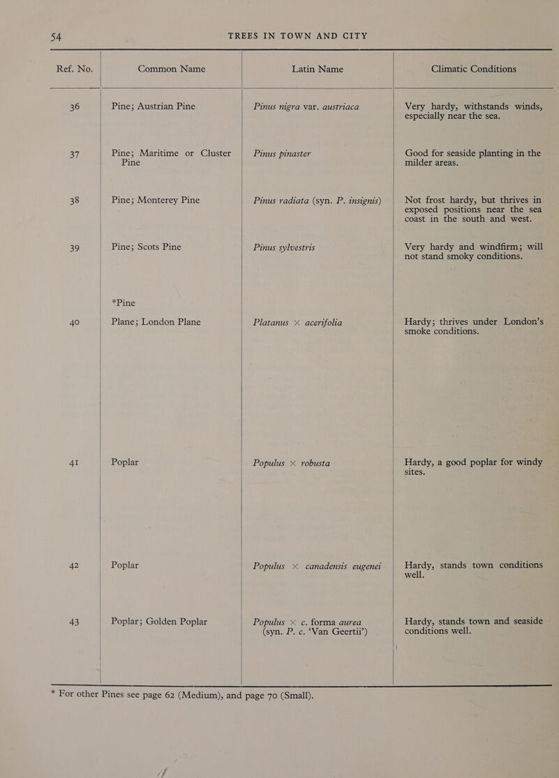36 37 38 ou. 40 4I 42 43   Common Name Latin Name Climatic Conditions  Pine; Austrian Pine Pine; Maritime or Cluster Pine Pine; Monterey Pine Pine; Scots Pine *Pine Plane; London Plane Poplar Poplar Poplar; Golden Poplar  Pinus mgra var. austriaca Pinus pinaster Pinus radiata (syn. P. insignis) Pinus sylvestris Platanus x acerifolia Populus &lt; robusta Populus &lt; canadensis eugenei Populus &lt; c. forma aurea (synw Poco Van Geertil;)  Very hardy, withstands winds, especially near the sea. Good for seaside planting in the milder areas. Not frost hardy, but thrives in exposed positions near the sea coast in the south and west. Very hardy and windfirm; will not stand smoky conditions. Hardy; thrives under London’s smoke conditions. Hardy, a good poplar for windy sites. Hardy, stands town conditions well. Hardy, stands town and seaside conditions well.