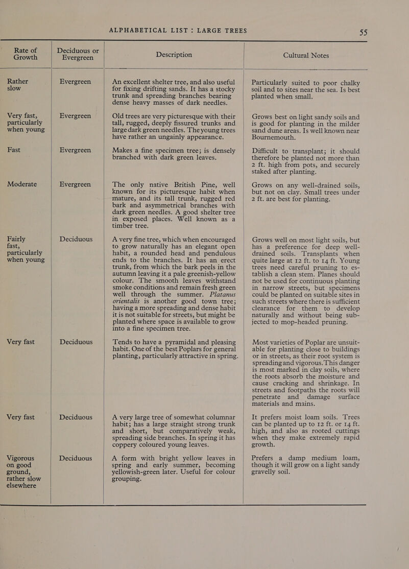 ee      Epa fore seg Description Cultural Notes Rather Evergreen An excellent shelter tree, and also useful Particularly suited to poor chalky slow for fixing drifting sands. It has a stocky soil and to sites near the sea. Is best trunk and spreading branches bearing planted when small. dense heavy masses of dark needles. Very fast, Evergreen Old trees are very picturesque with their Grows best on light sandy soils and particularly tall, rugged, deeply fissured trunks and is good for planting in the milder when young large dark green needles. The young trees sand dune areas. Is well known near have rather an ungainly appearance. Bournemouth. Fast Evergreen Makes a fine specimen tree; is densely Difficult to transplant; it should branched with dark green leaves. therefore be planted not more than 2 ft. high from pots, and securely staked after planting. Moderate Evergreen The only native British Pine, well Grows on any well-drained soils, known for its picturesque habit when but not on clay. Small trees under mature, and its tall trunk, rugged red 2 ft. are best for planting. bark and asymmetrical branches with dark green needles. A good shelter tree in exposed places. Well known as a timber tree. Fairly Deciduous A very fine tree, which when encouraged Grows well on most light soils, but fast, to grow naturally has an elegant open has a preference for deep well- particularly habit, a rounded head and pendulous drained soils. Transplants when when young ends to the branches. It has an erect quite large at 12 ft. to 14 ft. Young trunk, from which the bark peels in the trees need careful pruning to es- autumn leaving it a pale greenish-yellow tablish a clean stem. Planes should colour. The smooth leaves withstand not be used for continuous planting smoke conditions and remain fresh green in narrow streets, but specimens well through the summer. Platanus could be planted on suitable sites in orientalis is another good town tree; such streets where there is sufficient having a more spreading and dense habit clearance for them to develop it is not suitable for streets, but might be naturally and without being sub- planted where space is available to grow jected to mop-headed pruning. into a fine specimen tree. Very fast Deciduous Tends to have a pyramidal and pleasing Most varieties of Poplar are unsuit- habit. One of the best Poplars for general able for planting close to buildings planting, particularly attractive in spring. or in streets, as their root system is spreading and vigorous. This danger is most marked in clay soils, where the roots absorb the moisture and cause cracking and shrinkage. In streets and footpaths the roots will penetrate and damage _ surface materials and mains. Very fast Deciduous A very large tree of somewhat columnar It prefers moist loam soils. Trees habit; has a large straight strong trunk can be planted up to 12 ft. or 14 ft. and short, but comparatively weak, high, and also as rooted cuttings spreading side branches. In spring it has when they make extremely rapid coppery coloured young leaves. growth. Vigorous Deciduous A form with bright yellow leaves in Prefers a damp medium loam, on good spring and early summer, becoming though it will grow on a light sandy ground, yellowish-green later. Useful for colour gravelly soil. rather slow grouping. elsewhere 