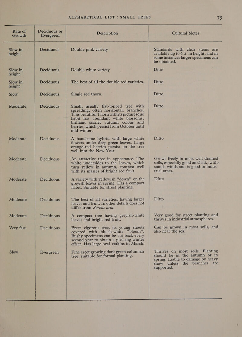 Growth Slow in height Slow in height Slow in height Slow Moderate Moderate Moderate Moderate Moderate Moderate Very fast Slow |   Evergreen Deciduous Deciduous Deciduous Deciduous Deciduous Deciduous Deciduous Deciduous Deciduous Deciduous Evergreen    Description  75  Cultural Notes  Double pink variety Double white variety The best of all the double red varieties. Single red thorn. Small, usually flat-topped tree with spreading, often horizontal, branches. This beautiful Thorn withits picturesque habit has abundant white blossoms, brilliant scarlet autumn colour and berries, which persist from October until mid-winter. A handsome hybrid with large white flowers under deep green leaves. Large orange-red berries persist on the tree well into the New Year. An attractive tree in appearance. The white undersides to the leaves, which turn yellow in autumn, contrast well with its masses of bright red fruit. A variety with yellowish ‘““down”’ on the greyish leaves in spring. Has a compact habit. Suitable for street planting. The best of all varieties, having larger leaves and fruit. In other details does not differ from Sorbus aria. A compact tree having greyish-white leaves and bright red fruit. Erect vigorous tree, its young shoots covered with bluish-white “bloom’’. Bushy specimens can be cut back every second year to obtain a pleasing winter effect. Has large oval catkins in March. Fine erect growing dark green columnar tree, suitable for formal planting.   Standards with clear stems are available up to 6 ft. in height, and in some instances larger specimens can be obtained. Ditto Ditto Ditto Ditto Ditto Grows freely in most well drained soils, especially good on chalk; with- stands winds and is good in indus- trial areas. Ditto Ditto Very good for street planting and thrives in industrial atmospheres. Can be grown in most soils, and also near the sea. Thrives on most soils. Planting should be in the autumn or in spring. Liable to damage by heavy snow unless the branches are supported.