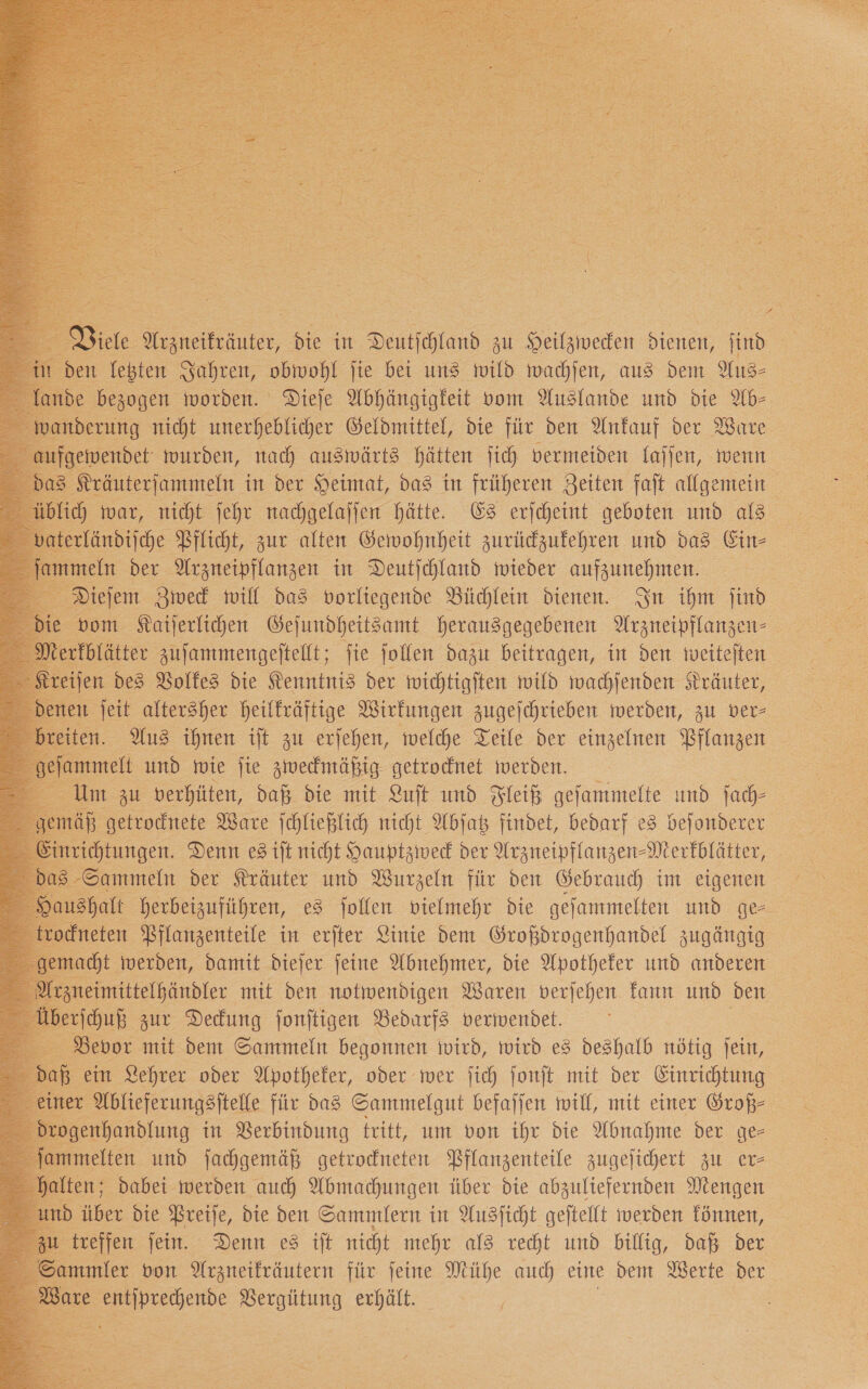         be oo worden. oe shängigfeit vom Yusfande und Die * anderung nicht unerheblicher Geldmittel, die für den Ankauf der Ware aufgewendet wurden, nach auswärts hätten ſich vermeiden laſſen, wenn as Kräuterſammeln in der Heimat, das in früheren Zeiten faſt allgemein ich war, nicht ſehr nachgelaſſen hätte. Es erſcheint geboten und als erländifche Pflicht, zur alten Gewohnheit zurüczufehren und das Ein- meln der Arzneipflanzen in Deutjchland wieder aufzunehmen = Dieſem Zweck will das vorliegende Büchlein dienen. In ihm ſind e vom Kaiſerlichen Geſundheitsamt herausgegebenen Arzneipflanzen- rtblä itter — ſie ſollen dazu a in den —        neten Se in erjter Linie dem zugängig acht werden, damit dieſer ſeine Abnehmer, die Apotheker und anderen Arzneimittelhändler mit den notwendigen Waren verſehen kann und den Uberſchuß zur Deckung fonftigen Bedarfs verwendet. Bevor mit dem Sammeln begonnen wird, wird es deshalb nötig fein,   — fein. — es ift nicht mehr als — und Billig, Ha Der mmler bon Arzneifräutern für jeine Mühe auch eine dem Werte der 