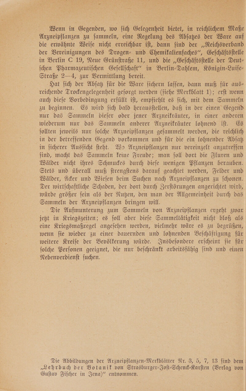 Arzneipflanzen zu fammeln, eine Regelung des Abſatzes der Ware auf die erwähnte Weife nicht erreichbar ift, dann find der „Reichsverband der Vereinigungen de3 Drogen- und Chemikalienfaches“, Gejchäftzitelle in Berlin C 19, Neue Grünftraße 11, und die „Geichäftzitelle der Deut- ihen Pharmazeutiſchen Geſellſchaft“ in Berlin-Dahlem, Königin-Luiſe— Straße 2—4, zur Vermittlung bereit. Hat fich der Abſatz für die Ware fichern Laffen, dann muß für aus- reichende Trocdengelegenheit gejorgt werden (ſiehe Merfblatt 1); erſt wenn auch dieſe VBorbedingung erfüllt ift, empfiehlt e3 fich, mit dem Sammeln zu beginnen. Es wird fich bald herausftellen, daß in der einen Gegend nur das Sammeln diejer oder jener Arzneifräuter, in einer anderen wiederum nur das Sammeln anderer Arzmeifräuter lohnend iſt. Es jollten jeweils nur ſolche Arzneipflanzen gejammelt werden, die reichlich int der betreffenden Gegend vorfommen und für die ein lohnender Abiab in jicherer Aussicht fteht. Wo Arzneipflanzen nur vereinzelt anzutreffen ind, macht das Sammeln feine Freude; man joll dort die Fluren und Wälder nicht ihres Schmudes durch dieje wenigen Pflanzen berauben. Stets und überall muß ftrengftens darauf geachtet werden, Felder und Wälder, der und Wiejen beim Suchen nach Arzneipflanzen zu ichonen. Der wirtichaftliche Schaden, der dort durch Zerftörungen angerichtet wird, würde größer jein als der Nuben, den man der Allgemeinheit durch das Sammeln der Arzneipflanzen bringen will. Die Aufmunterung zum Sammeln von Arzneipflanzen ergeht zwar jetzt in Sriegszeiten; es foll aber dieſe Sammeltätigfeit nicht bloß als eine Rriegsmaßregel angejehen werden, vielmehr wäre es zu begrüßen, wenn ſie wieder zu einer dauernden und lohnenden Beichäftigung für weitere reife der Bevölferung würde. Insbeſondere erjicheint jie für ſolche Perſonen geeignet, die nur bejchränft arbeitsfähig find und einen Nebenverdienſt juchen. Die Abbildungen der Arzneipflanzen-Merfblätter Nr. 3, 5, 7, 13 find dem | „Lehrbuch der Botanik von Strasburger-Joft-Schend-Rarften (Verlag von Guſtav Filher in Jena)” entnommen. | | 4