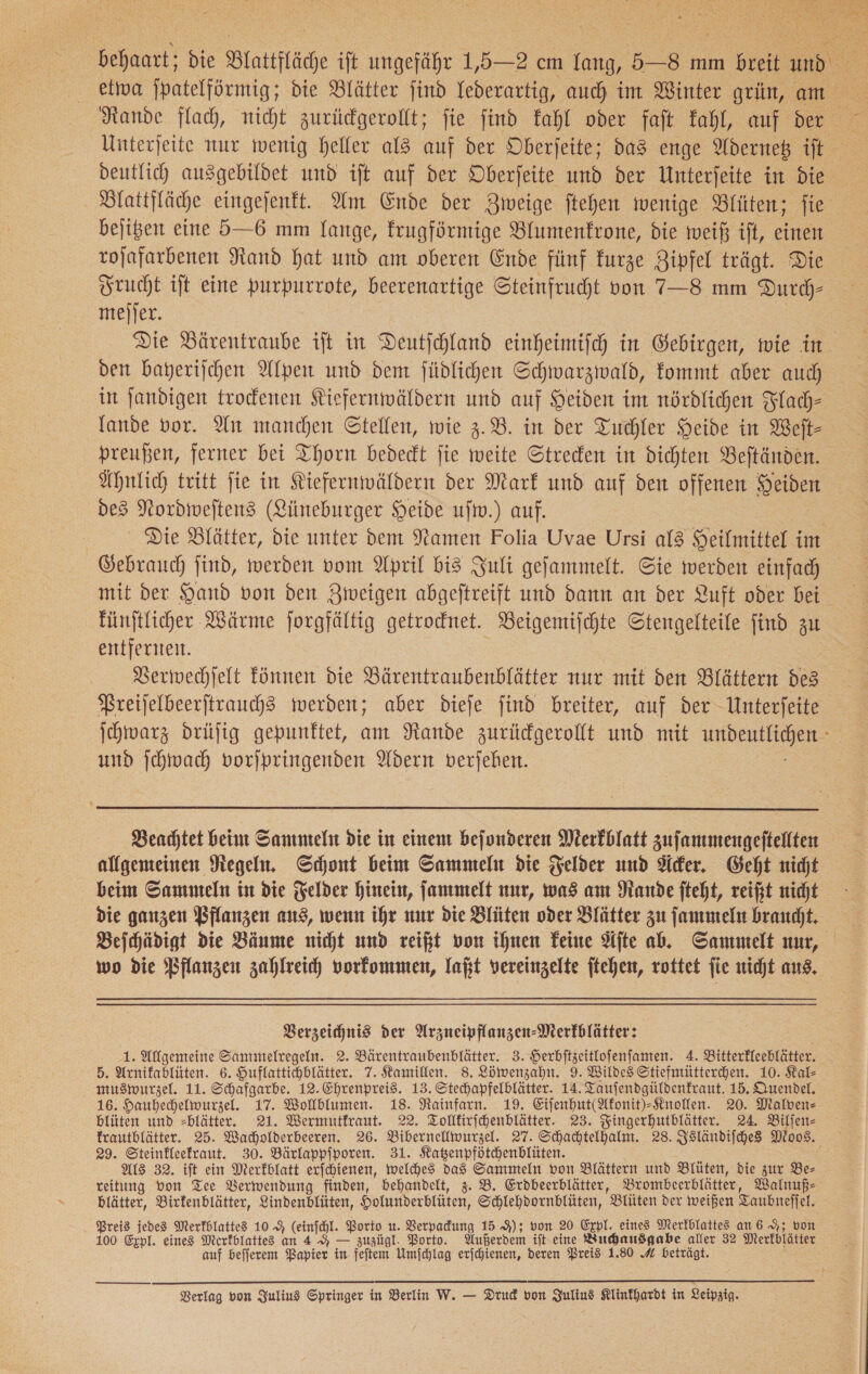  — die Blautfläche it nasrähr 1,02. cn lang, A 8 mm — — Rande flach, nicht zurückgerollt; fie find Zahl oder faft Kahl, auf der * - deutlich ausgebildet und iſt auf der Oberſeite und der Unterſeite in die Dlattjläche eingejenkt. Am Ende der Zweige ftehen wenige Blüten; fie bejigen eine 5—6 mm Lange, krugförmige Blumenfrone, die weiß ift, einen tojafarbenen Rand hat und am oberen Ende fünf furze Zipfel trägt. Die Frucht iſt eine purpurrote, beerenartige Steinfrucht von 7—8 mm Durch⸗ meſſer. Die Bärentraube iſt in Deutſchland einheimiſch in Gebirgen, wie in den bayeriſchen Alpen und dem ſüdlichen Schwarzwald, kommt aber auch in ſandigen trockenen Kiefernwäldern und auf Heiden im nördlichen Flach— lande vor. An manchen Stellen, wie z.B. in der Tuchler Heide in Weſt— preußen, ferner bei Thorn bedect fie weite Streden in dichten Beftänden. Ähnlich tritt fie in Kiefernwäldern der Mark und auf den offenen Heiden des Nordweſtens (Lüneburger Heide ufw.) auf. Die Blätter, die unter dem Namen Folia Uvae Ursi al3 Heilmittel im Gebrauch find, werden vom April bis Juli gefammelt. Sie werden einfach mit der Hand von den Zweigen abgeftreift und dann an der Luft oder bei fünftlicher Wärme jorgfältig getrocknet. Beigemiſchte Stengelteile ſind zu entfernen. Verwechſelt können die Bärentraubenblätter nur mit den Blättern des Preiſelbeerſtrauchs werden; aber dieſe ſind breiter, auf der Unterſeite ſchwarz drüſig gepunktet, am Rande zurückgerollt und mit und ſchwach vorſpringenden Adern verſeben.  Beachtet beim Sammeln die in einem beſonderen Merkblatt zuſammengeſtellten allgemeinen Regeln. Schont beim Sammeln die Felder und Äcker. Geht nicht beim Sammeln in die Felder hinein, jammelt nur, was am Rande fteht, reift nicht die ganzen Pflanzen aus, wenn ihr nur die Blüten oder Blätter zu ſammeln braucht. Beichädigt die Bäume nicht und reift von ihnen Feine Ste ab. Sammelt nur, wo die Bflanzen zahlreich vorkommen, laßt vereinzelte ftehen, rottet fie nicht ans, Verzeichnis der Arzneipflanzen-Merkblätter: 1. Allgemeine Sammelregeln. 2. Bärentranbenblätter. 3. Herbftzeitlofenfamen. 4. Bitterfleeblätter. 5. Arnifablüten. 6. Huflattichhlätter. 7. Kamillen. 8. Löwenzahn. 9. Wildes Stiefmütterchen. 10. Kal- muswurzel. 11. Schafgarbe. 12. Ehrenpreis. 13. Stechapfelblätter. 14. Taufendgüldenfraut. 15. Quendel. 16. Hauhechelmwurzel. 17. Wollblumen. 18. Rainfarn. 19. Eifenhut(Afonit)Knollen. 20. Malven- hlüten und =blätter. 21. Wermutfraut. 22. Tolltirichenblätter. 23. Fingerhutblätter. 24 Bilſen— frautblätter. 25. Wacholderbeeren. 26. Bibernellwurzel. 27. Schachtelhalm. 28. Isländiſches Moos. 29. Steinkleekraut. 30. Bärlappſporen. 31. Katzenpfötchenblüten. Als 32. iſt ein Merkblatt erſchienen, welches das Sammeln von Blättern und Blüten, die zur Be— reitung bon Tee Verwendung finden, behandelt, z. B. Erdbeerblätter, Brommbeerblätter, Walnuß⸗ blätter, Birkenblätter, Lindenblüten, Holunderblüten, Schlehdornblüten, Blüten der weißen Taubueffel. Preis jedes Merkblattes 10 (einſchl. Porto u. Verpackung 15 9); von 20 Expl. eines Merfblattes an 6 9; von 100 Expl. eines Merkblattes an 4 — zuzügl. Porto. Außerdem ift-eine Buchausgabe aller 32 Merkblätter auf beſſerem Papier in feftem Umfchlag erjchienen, deren Preis: 1.80 4 beträgt.