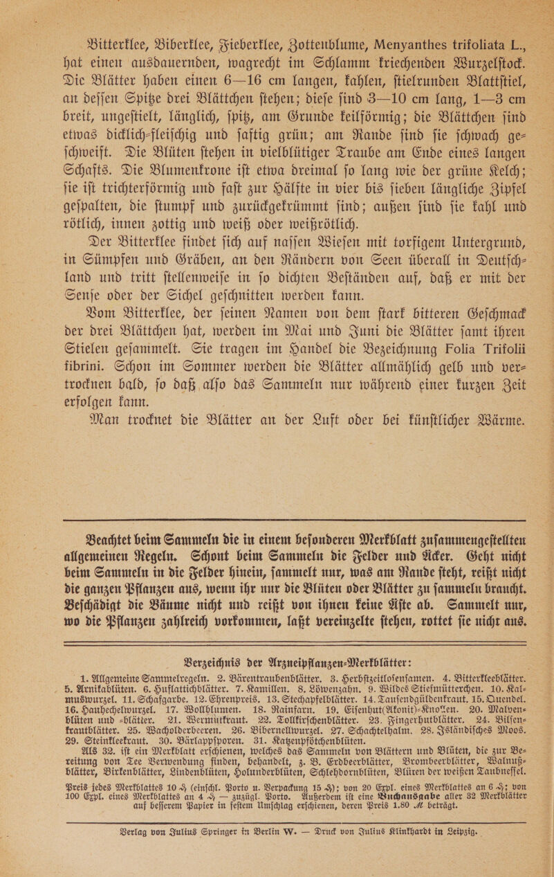  Bitterklee, Biberklee, Fieberklee, Zottenblume, Menyanthes trifoliata L,, — Die Blätter haben einen 6—16 cm langen, kahlen, ſtielrunden Blattitiel, etwas diclich-fleiichig und jaftig grün; am Rande find fie ſchwach ge- ſchweift. Die Blüten jtehen in vielblütiger Traube am Ende eines langen Schafts. Die Blumenfrone ift etiva dreimal jo Yang wie der grüne Kelch; gejpalten, die ftumpf und zurüdgefrimmt find; außen jind jie fahl und rötlich, innen zottig und weiß oder weißrötlich. ; Der Bitterklee findet jich auf najjen Wiefen mit torfigem Untergrund, in Sümpfen und Gräben, an den Rändern von Seen überall in Deutjch-- land und tritt ftellenweije in jo dichten Beitänden auf, daß er mit ver Senje oder der Sichel gefchnitten werden kann. | Vom Bitterklee, der jeinen Namen von dem ftarf bitteren Geſchmack der drei Dlättchen hat, werden im Mai und Juni die Blätter jamt ihren Stielen gejanimelt. Sie tragen im Handel die Bezeichnung Folia Trifolü fibrini. Schon im Sommer werden die Blätter allmählich gelb und ver- trocknen bald, fo daß aljo dad Sammeln nur während einer kurzen Zeit erfolgen kann. | Man trodnet die Blätter an der Luft oder bei Fünftlicher Wärme.  Beachtet beim Sammeln die in einem befonderen Merkblatt zuſammengeſtellten allgemeinen Regeln, Schont beim Sammeln die Felder und der. Geht nicht beim Sammeln in die Felder hinein, ſammelt nur, was am Rande jteht, reißt nicht die ganzen Pflanzen aus, went ihre nur die Blüten oder Blätter zu ſammeln braucht, Beſchädigt die Bäume nicht und reift von ihnen Feine Aſte ab. Sammelt nur, wo die Bilanzen zahlreich vorkommen, laßt vereinzelte ftehen, rottet jie nicht aus. Verzeichnis der Arzneipflanzen-Merfblätter: 1. Allgemeine Sammelregeln. 2. Bärentraubenblätter. 3. Herbſtzeitloſenſamen. 4. Bitterfleeblätter. . 5. Arnifablüten. 6. Huflattichblätter. 7. Kamillen. 8. Löwenzahn. 9. Wildes Stiefmütterchen. 10. Kal- muswurzel. 11.Schafgarbe. 12. Ehrenpreis. 13. Stechapfelblätter. 14. Tauſendgüldenkraut. 15. Quendel. 16. Hauhechelwurzel. 17. Wollblumen. 18. Rainfarn. 19. Eifenhut(Akonit)-RnoYen. 20. Malven- blüten und =blätter. 21. Wermutkraut. 22. Tollkirſchenblätter. 23. Fingerhutblätter. 24. Bilfen- frautblätter. 25. Wacholderbeeren. 26. Bibernellwurzel. 27. Schachtelhalm. 28. Isländiſches Moos. 29. Steinkleefraut. 30. Bärlappfporen. 31. Katenpfötchenblüten. z 5 Als 32. ift ein Merkblatt erjchienen, welches das Sammeln von Blättern und Blüten, die zur Be— reitung von Tee Verwendung finden, behandelt, 3. B. Erdbeerblätter, Brombeerblätter, Walnuß— blätter, Birfenblätter, Lindenblüten, Holunderblüten, Schlehdornblüten, Blüten der weißen Taubneſſel. Preis jedes Merkblattes 10.9 (einfchl. Porto u. Verpadung 15 9); von 20 Erpl. eines Merfhlattes an 6 9; von 100 Expl. eines Merfblattes an 4 — zuzügl. Porto. Außerdem ift eine Buchausgabe aller 32 Merkblätter auf befjerem Bapier in feſtem Umſchlag erſchienen, deren Preis 1.30 9 beträgt.