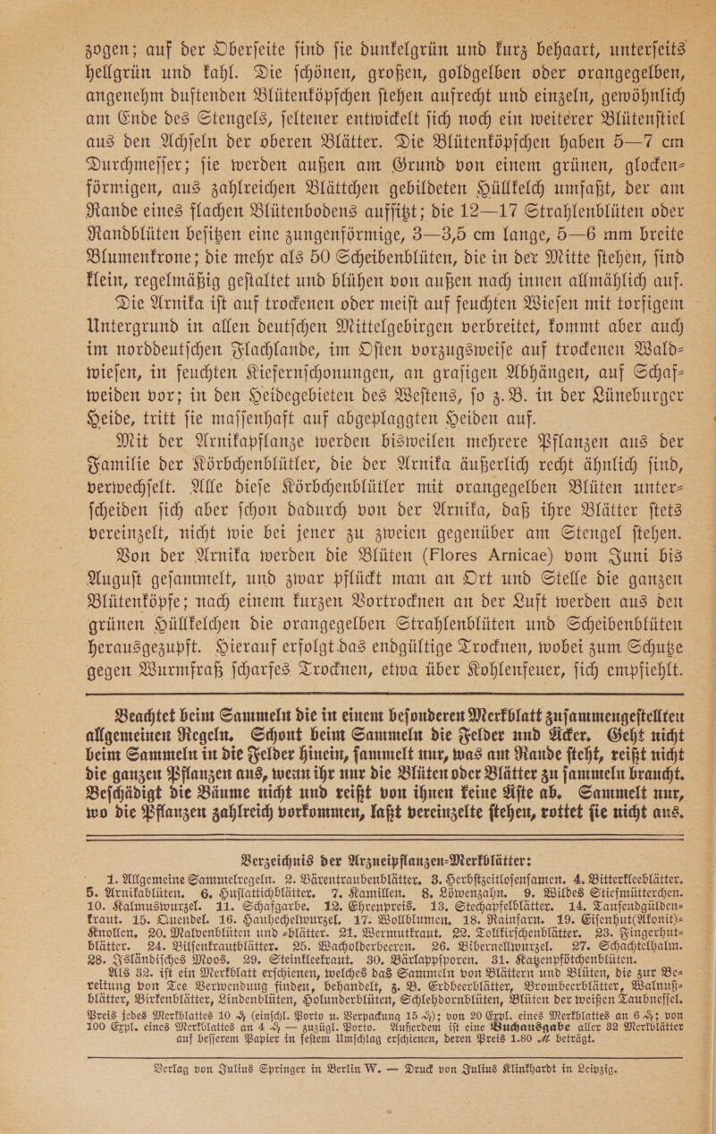 zogen; auf der Oberfeite find fie dunfelgrün und kurz behaart, unterfeit® hellgrün und kahl. Die ſchönen, großen, goldgelben oder orangegelben, angenehm duftenden Blütenköpfchen ftehen aufrecht und einzeln, gewöhnlich am Ende des Stengel, jeltener entwickelt jich noch ein weiterer Blütenftiel aus den Achſeln der oberen Blätter. Die Blütenköpfchen haben 5—7 cm Durchmefjer; fie werden außen am Grund von einem grünen, gloden- förmigen, aus zahlreichen Blättchen gebildeten Hüllfelh umfaßt, der am Rande eines flachen Blütenbodens aufjißt; die 12—17 Strahlenblüten oder Randblüten bejißen eine zungenfürmige, 3—3,5 cm lange, 5—6 mm breite Blumenfrone; die mehr als 50 Scheibenblüten, die in dev Mitte ftehen, find Hein, regelmäßig gejtaltet und blühen von außen nach innen allmählich auf. Die Arnika ift auf trodenen oder meift auf feuchten Wiefen mit torfigem Untergrund in allen deutjchen Mittelgebirgen verbreitet, kommt aber auch im norddeutjichen Flachlande, im Dften vorzugsweiſe auf trodenen Wald- wieſen, in feuchten Siefernjchonungen, an grafigen Abhängen, auf Schaf- meiden vor; in den Heidegebieten des Weftens, jo 3.8. in der Lüneburger Heide, tritt fie mafjenhaft auf abgeplaggten Heiden auf. Mit der Wrnifapflanze werden bisweilen mehrere Pflanzen aus der Familie der Körbehenblütler, die der Arnifa äußerlich recht ähnlich find, vermwechjelt. Alle diefe Körbehenblütler mit orangegelben Blüten unter— Icheiden fich aber jchon dadurch von der Arnika, daß ihre Blätter ftets vereinzelt, nicht wie bet jener zu zweien gegenüber am Stengel ftehen. Bon der Arnika werden die Blüten (Flores Arnicae) vom Suni bis Auguſt gejammelt, und zwar pflücdt man an Ort und Stelfe die ganzen Blütenköpfe; nach einem furzen Bortrodnen an der Luft werden aus dei grünen Hülffelchen die orangegelben Strahlenblüten und Scheibenbfüten herausgezupft. Hierauf erfolgt. das endgültige Trocdnen, wobei zum Schuße gegen Wurmfraß ſcharfes Trodnen, etiva über Kohlenfeuer, ſich empfiehlt.  Beachtet beim Sammeln die in einent beionderen Merkblatt zufanmengeftellten allgemeinen Regel, Schont beim Sammeln die Felder und Acker. Geht nicht beim Sammeln in die Felder hinein, ſammelt nur, was am Rande fteht, reißt nicht die ganzen Pflanzen ans, wenn ihr nur die Blüten oder Blätter zu ſammeln braucht, Beſchädigt die Bäume nicht und reißt von ihnen Feine Äſte ab. Sammelt nur, wo die Pflanzen zahlreich vorfommten, laßt vereinzelte ftehen, vottet fie nicht aus, Verzeichnis Der Arzneipflanzen-Merkblätter: 1. Allgemeine Sammtelregeln. 2. Bärentraubenblätter. 3. Serbftzeitlofenjanten. 4. Bitterfleeblätter. 5. Arnifablüten. 6. Huflattihblätter, 7. Kamillen. 8. Löwenzahn. 9. Wildes Stiefmütterdhen. 10. Kalmusiwurzel. 11. Schafgarbe. 12. Ehrenpreis. 13. Stechapfelblätter. 14. Taufendgülden- : fraut. 15. Duendel. 16. Hauhechelwurzel. 17. Wollblumen 18. Rainfarn. 19. Eiſenhut(Akonit)ſ ⸗ Knollen. 20. Malvenblüten und zblätter. 21. Wermutkraut. 22. Tollkirſchenblätter. 23. Fingerhut- blätter. 24. Bilfenfrautblätter. 25. Wakholderbeeren. 26. Bibernellmurzel. 27. Schaächtelhalm. 23. Isländiſches Moos. 29. Steinkleefraut. 30. Bärlappfporen. 31. Kagenpfütchenblüten. Als 32. ift ein Merkblatt erfchienen, welches daS Sammteln von Blättern und Blüten, die zur Ber reitung bon Tee Verwendung finden, behandelt, 3. B. Erdbeerblätter, Brombeerblätter, Walnuß—⸗ blätter, Birkenblätter, Lindenblüten, Holunderblüten, Schlehdornblüten, Blüten der weißen Taubneſſel. Preis jedes Merkblattes 10 9 (einchl. Porto u. Verpadung 15 9); von 20 Exp. eines Merkblattes an 6 9; von 100 Expl. eines Merfblattes an 4 H — zuzügl. Porto. Außerdem ift eine Buchausgabe aller 32 Merkblätter auf beijerem Papier in feiten Umfchlag erichienen, deren Preis 1.80 4 beträgt.