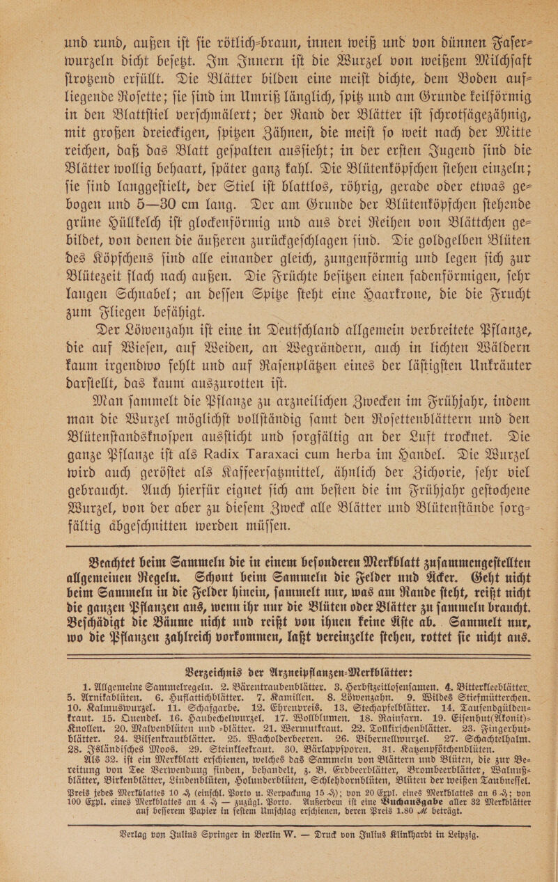 wurzeln dicht beſetzt. Im Innern ift die Wurzel von weißem Milchjaft liegende Rojette; fie jind im Umriß länglich, Ipib und am Grunde keilförmig in den DBlattitiel verfchmälert; der Rand der Blätter ift Schrotjägezähnig, mit großen dreiedigen, jpigen Zähnen, die meift jo weit nad) der Mitte reichen, daß das Blatt gejpalten ausjieht; in der erjten Jugend jind die Blätter wollig behaart, |päter ganz fahl. Die Blütenköpfchen ftehen einzeln; lie find Tanggeitielt, der Stiel iſt blattlos, röhrig, gerade oder etwas ge— bogen und 5—830 cm lang. Der am Grunde der Blütenföpfchen ftehende grüne Hüllkelch it glockenförmig und aus drei Reihen von Blättchen ge= bildet, von denen die äußeren zurücgejchlagen find. Die goldgelben Blüten des Köpfchens jind alfe einander gleich, zungenförmig und legen jich zur Blütezeit fach nach) außen. Die Früchte bejigen einen fadenförmigen, fehr langen Schnabel; an deſſen Spitze fteht eine Haarfrone, die die Frucht zum Fliegen befähigt. Der Löwenzahn ift eine in Deutichland allgemein verbreitete Pflanze, die auf Wiejen, auf Weiden, an Wegrändern, auch in lichten Wäldern faum irgendivo fehlt und auf Raſenplätzen eines der läftigiten Unfräuter darfiellt, das kaum auszurotten ift. Man jammelt die Pflanze zu arzneilicden Zwecken im Frühjahr, indem man die Wurzel möglichit volljtändig ſamt den Nofettenblättern und den Blütenftandsfnojpen ausfticht und jorgfältig an der Luft trodnet. Die ganze Pflanze ift als Radix Taraxaci cum herba im Handel. Die Wurzel wird auch geröftet als Kaffeerjagmittel, ähnlich der Zichorie, jehr viel gebraucht. Auch Hierfür eignet jich am beiten die im Frühjahr geftochene Wurzel, von der aber zu diefem Zweck alle Blätter und Blütenftände forg- fältig äbgejchnitten werden müſſen. | Benchtet bein Sammeln die in einen befonderen Merfblatt zuſammengeſtellten allgemeinen Regeln. Schont beim Sammeln die Felder und der. Geht nicht beim Sammeln in die Felder hinein, jammelt nur, was am Rande ſteht, reift nicht die ganzen Pflanzen aus, wenn ihr nur die Blüten oder Blätter zu ſammeln braucht, Beichädigt die Bäume nicht und reift von ihnen Feine ÄAſte ab... Sammtelt nur, wo die Pflanzen zahlreich vorkommen, laßt vereinzelte ftehen, rottet fie nicht aus, Verzeichnis der Arzneipflanzen- Merkblätter: 1. Allgemeine Sammelcegeln. 2. Bärentraubenblätter. 3. a 4. Bitterfleeblätter, 5. Arnifablüten. 6. Huflattichblätter. 7. Kamillen. 8. Löwenzahn. 9. Wildes Stiefmütterchen. 10. Ralmuswurzel. 11. Schafgarbe. 12. Ehrenpreis. 13. Stechapfelblätter. 14. Taufendgülden- - traut. 15. Quendel. 16. Hauhechelwurzel. 17. Wollblumen. 18. Rainfarn. 19. Eiſenhut( Akonit)⸗ Knollen. 20. Malvenblüten und -blätter. 21. Wermutfraut. 22. Tollkirſchenblätter. 23. Fingerhut- blätter. 24. Bilfenfrautblätter. 25. Wacholderbeeren. 26. Bibernellwurzel. 27. Schadtelhalm. 28. Islän diſches Moos. 29. Steinkleekraut. 30. Bärlappſporen. 31. Katzenpfötchenblüten. Als 32. iſt ein Merkblatt erſchienen, welches das Sammeln von Blättern und Blüten, die zur Be— reitung bon Tee Verwendung finden, behandelt, z. B. Erdbeerblätter, Brombeerblätter, Walnuß⸗ blätter, Birkenblätter, Lindenblüten, Hohmderblüten, Schlehdornblüten, Blüten der weißen I Zaubnefjel. Preis jedes Merfblattes 10 9 (einfchl. Porto u. Verpadung 15 9), von 20 Erpl. eines Merfblatted an 6%; von 100 Erpl. eines Merfhlattes an 4% — zuzügl. Porto. Außerdem ift eine Kuchaus gabe aller 32 Merkblätter auf beſſerem Papier in Pike Umſchlag erjchienen, deren Preis 1.80 beträgt.