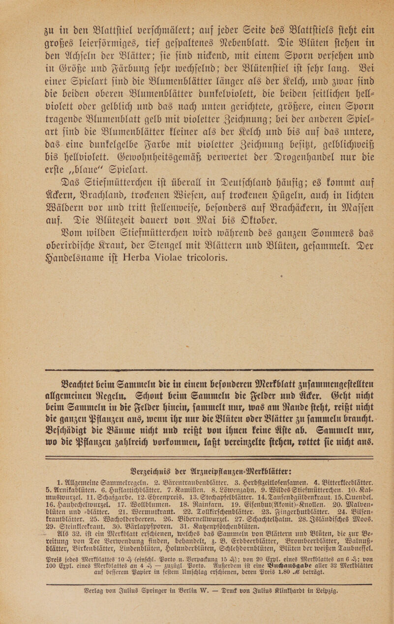  zu in den Blattftiel verfchmälert; auf ieber Seite des Blattſtiels fteht ein £ den Achſeln der Blätter; fie find nickend, mit einem Sporn verjehen und in Größe und Färbung fehr mwechjelnd; der Blütenftiel ift fehr lang. Bei einer Spielart find die Blumenblätter länger als der Kelch, und zwar find die beiden oberen Blumenblätter dunfelviolett, die beiden feitlichen hell- violett oder gelblich) und das nach unten gerichtete, größere, einen Sporn tragende Blumenblatt gelb mit violetter Zeichnung; bei der anderen Spiel- art jind die Blumenblätter Eleiner als der Kelch und bis auf das untere, das eine dunfelgelbe Farbe mit violetter Zeichnung bejigt, gelblichiveiß bis hellviolett. Gemwohnheitsgemäß verwertet der. Drogenhandel nur Die erite „blaue“ Opielart. | Das GStiefmütterchen ift überall in Deutjchland Häufig; es fommt auf Ackern, Brachland, trodenen Wiejen, auf trockenen Hügeln, auch in lichten. Wäldern vor und tritt ftellenweije, bejonders auf Brachädern, in Maſſen auf. Die Blütezeit dauert von Mai bis Dftober. Bom wilden Stiefmütterchen wird während des ganzen Sommers das oberirdijche Kraut, der Stengel mit Blättern und Blüten, gefammelt. Der Handelsname ift Herba Violae tricoloris.  Beachtet beim Sammeln die in einem befonderen Merfblatt zuſammengeſtellten allgemeinen Regeln. Schont beim Sammeln die Felder und Acker. Geht nicht beim Sammeln in die Felder hinein, fammelt nur, was am Rande fteht, reift nicht die ganzen Pflanzen aus, wenn ihr nur die Blüten oder Blätter zu ſammeln braucht. Beirhädigt die Bäume nicht und reißt von ihnen Feine Alte ab. Sammelt nur, wo die Pflanzen zahlreid) vorkommen, Yaßt vereinzelte ftehen, rottet jie nicht aus. - Verzeichnis der Arzueipflanzen- Merkblätter: 1. Allgemeine Sammeltcegeln. 2. Bärentraubenblätter. 3. Herbitzeitlofenfamen. A. Bitterfleeblätter. 5. Arnifablüten. 6. Huflattichblätter. 7. Kamillen. 8. Löwenzahn. 9. Wildes Stiefmütterdhen. 10. Kal- muswurzel. 11. Schafgarbe. 12. Ehrenpreis. 13. Stechapfelblätter. 14. Tauſendgüldenkraut. 15. Quendel. 16. Hauhechelwurzel. 17. Wollblumen. 18. Rainfarn. 19. Eifenhut(Mfonit)- Knollen. 20. Malven- blüten und -blätter. 21. Wermutfrant. 22. Tollfirfchenblätter. 23. Fingerhutblätter. 24. Biljen- frautblätter. 25. Wachalderbeeren. 26. Bibernellmurzel. 27. Schadtelhalm. 28. Isländiſches Moos. 29. Steinfleefraut. 30. Bärlappiporen. 31. Kagenpfötchenblüten. ALS 32. ift ein Merkblatt erfchienen, welches das Sammeln von Blättern und Blüten, die zur Be- reitung don Tee Verwendung finden, behandelt, 3. B. Erdbeerblätter, Brombeerblätter, Walnuß- blätter, Birfenblätter, Lindenblüten, Holunderblüten, Schlehdornblüten, Blüten der weißen Taubneſſel. Preis jedes Merkblattes 10. (einfchl. Porto u. Verpadung 15 9); von 20 Expl. eines Merfblattes an 6; von 100 Expl. eines Merfolattes an 4 9 — zuzügl: Porto. Außerdem ift eine Buchausgabe aller 32 Merkblätter auf befjerem Papier in feſtem Umschlag erjchienen, deren Preis 1.80 A beträgt.