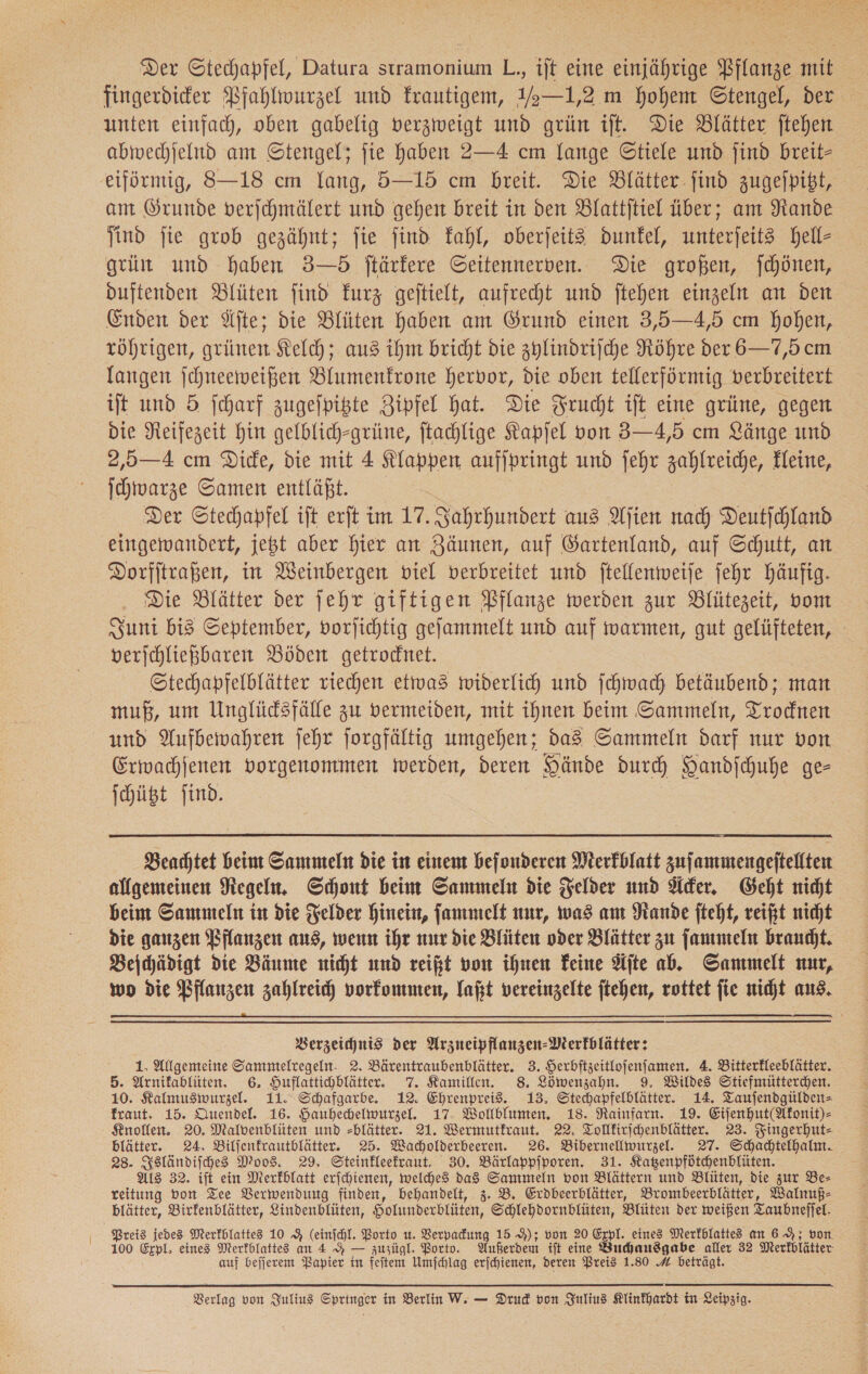Der Stechapfel, Datura sıramonium L., ift eine einjährige Pflanze mit fingerdider PBfahlwurzel und krautigem, Y—1,2 m hohem G©tengel, der unten einfach, oben gabelig verzweigt und grün ift. Die Blätter ftehen abmwechjelnd am Stengel; jie Haben 2—4 cm lange Stiele und find breit- eiförmig, 8S—18 cm lang, 5—15 cm breit. Die Blätter find zugeſpitzt, am Grunde verichmälert und gehen breit in den Blattjtiel über; am Rande find fie grob gezähnt; fie find kahl, oberſeits dunkel, unterjeit3 hell- grün und haben 3—D5 ftärkere Geitennerven. Die großen, jchönen, duftenden Blüten find kurz geftielt, aufrecht und ftehen einzeln an den Enden der Äfte; die Blüten haben am Grund einen 3,5—4,5 cm hohen, töhrigen, grünen Kelch; aus ihm bricht die zylindriſche Röhre der 6— 7,5 cm langen jchneeweißen Blumenfrone hervor, die oben tellerfürmig verbreitert ijt und 5 ſcharf zugejpiste Zipfel Hat. Die Frucht ift eine grüne, gegen die Neifezeit Hin gelblich-grüne, ftachlige Kapjel von 3—4,5 cm Länge und 2,5—4 cm Dide, die mit 4 Klappen auffpringt und jehr zahlreiche, Feine, ſchwarze Samen entläßt. Der Stechapfel ift erſt im 17. Sahrhundert aus Aſien nach Deutichland eingewandert, jeßt aber hier an Zäunen, auf Gartenland, auf Schutt, an Dorfitraßen, in Weinbergen viel verbreitet und ftellenmweije jehr häufig. Die Blätter der jehr giftigen Pflanze werden zur Blütezeit, vom uni bis September, vorjichtig gefammelt und auf warmen, gut gelüfteten, - verichließbaren Böden getrodnet. Stechapfelblätter riechen etwas mwiderlich und ſchwach betäubend; man muß, um Unglücksfälle zu vermeiden, mit ihnen beim Sammeln, Trodnen und Aufbewahren jehr forgfältig umgehen; da8 Sammeln darf nur von Erwachjenen vorgenommen werden, deren Hände durch Handſchuhe ge- ſchützt jind.  Beachtet beim Sammeln die in einen befonderen Merkblatt zufammengeftellten allgemeinen Regeln. Schont beim Sammeln die Felder und Äcker. Geht nicht beim Sammeln in die Felder hinein, ſammelt nur, was am Rande fteht, reißt nicht die ganzen Pflanzen aus, wenn ihr nur die Blüten oder Blätter zu ſammeln braucht. Beſchädigt die Bäume nicht und reißt von ihnen Feine Ste ab. Sammelt nur, wo die Pflanzen zahlreich vorkommen, laßt vereinzelte jtehen, rottet fie nicht aus,  Verzeichnis der Arzneipflanzen- Merkblätter: 1. Allgemeine Sammtelregeln- 2. Bärentraubenblätter. 3. Herbitzeitlofenfamen. 4. Bitterfleeblätter. 5. Arnifablüten, 6. Huflattichblätter. 7. Kamillen. 8 Löwenzahn. 9. Wildes Stiefmütterchen. 10. Kalmusmwurzel. 11. Schafgarbe. 12. Ehrenpreis. 13. Stechapfelblätter. 14. Taufendgülden= fraut, 15. Quendel. 16. Hauhechelwurzel. 17: Wollblumen, 18. Rainfarn. 19. Eifenhut(Afonit)- Knollen. 20. Malvenblüten und »blätter. 21. Wermutfraut. 22. Tolffirichenblätter. 23. Fingerhut— blätter. 24, Bilfenfrautblätter. 25. Wacholderbeeren. 26. Bibernelliwurzel. 27. Schadtelhaln. 28. Isländiſches Moos. 29, Steinfleefraut. 30. Bärlappiporen. 31. Katenpfütchenblüten. Als 32. ift ein Merkblatt erjchienen, welches das Sammeln von Blättern und Blüten, die zur Be— reitung von Tee Verwendung finden, behandelt, 3. B. Exdbeerblätter, Brombeerblätter, Walnuß— blätter, Birfenblätter, Lindenblüten, Holunderblüten, Schlehdornblüten, Blüten der weißen Taubnejfel. Preis jedes Merfblattes 10 5 (einfchl. Porto u. Verpadung 15 9); von 20 Expl. eines Merkblatte an 69; von 100 Erpl, eines Merfblattes an 4 — zuzügl. Bortv. Außerdem tft eine Buchausgabe aller 32 Merkblätter auf beſſerem Papier in feitem Umſchlag erjchienen, deren Preis 1.80 A beträgt.
