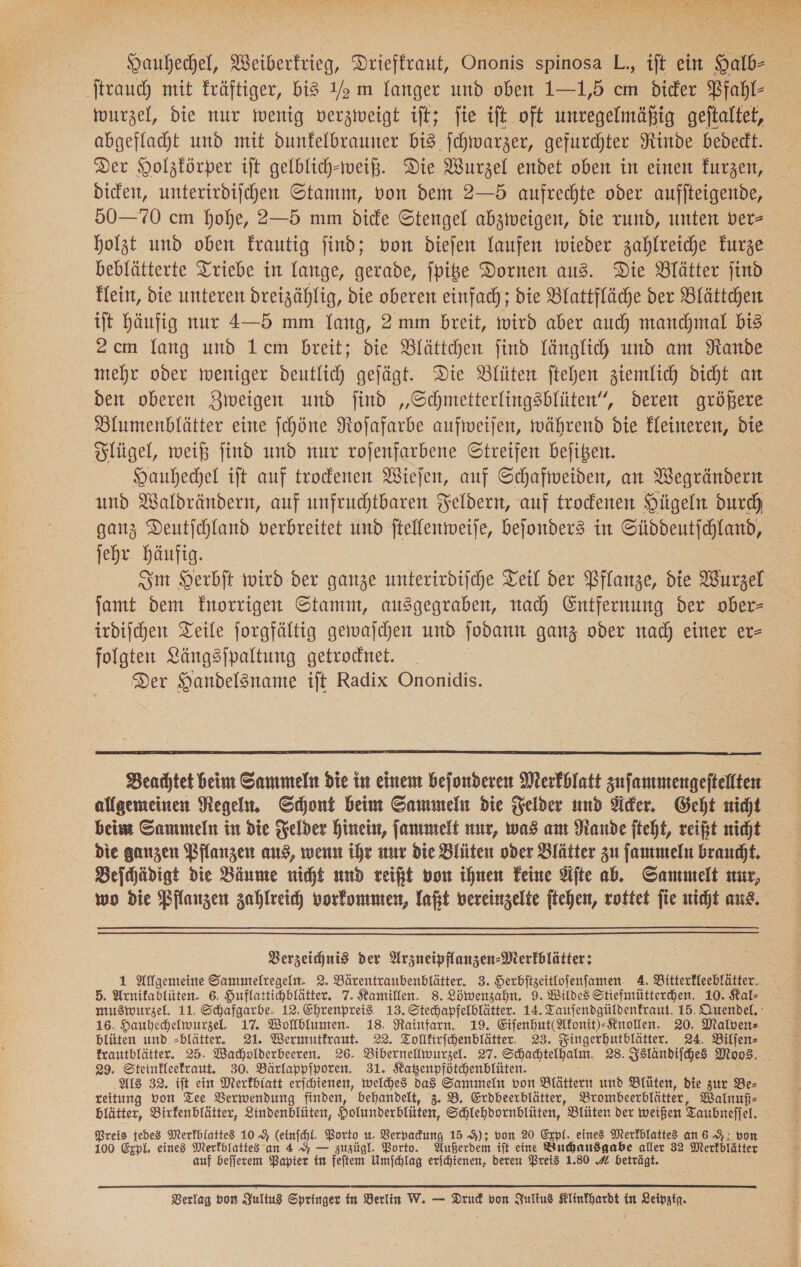  Hauhechel, Weiberkrieg, Drieffraut, Ononis spinosa L., ift ein Halb ‚Strauch mit Fräftiger, bis Ya m langer und oben 1—1,5 cm dider Pfahl wurzel, die nur wenig verzweigt ift; fie ift oft unregelmäßig geftaltet, abgefladht und mit dunkelbrauner bis ſchwarzer, gefurchter Rinde bededt. Der Holzkörper ift gelblich-weiß. Die Wurzel endet oben in einen furzen, dicken, unterirdiichen Stanınm, von dem 2—5 aufrechte oder auffteigende, 50- 70 cm hohe, 2—5 mm dicke Stengel abzweigen, die rund, unten ver- holzt und oben Frautig find; von dieſen laufen wieder zahlreiche kurze beblätterte Triebe in lange, gerade, jpie Dornen aus. Die Blätter find klein, die unteren dreizählig, die oberen einfach; die Blattfläche der Blättchen ift Häufig nur 4—5 mm Yang, 2 mm breit, wird aber auch manchmal bis 2 cm lang und Lcm breit; die Blättchen find länglich und am Rande mehr oder weniger deutlich gejägt. Die Blüten ftehen ziemlich dicht an den oberen Zweigen und ſind „Schmetterlingsblüten”, deren größere Blumenblätter eine fchöne Nojafarbe aufweiſen, während die Eleineren, die Flügel, weiß jind und nur rojenfarbene Streifen bejiben. Hauhechel ift auf trodenen Wiejen, auf Schafweiden, an Wegrändern und Waldrändern, auf unfruchtbaren Feldern, auf trodenen Hügeln durch ganz Deutjchland verbreitet und ftellenmeije, bejonders in Süddeutſchland, jehr häufig. Sm Herbit wird der ganze unterixdifche Teil der Pflanze, die Wurzel jamt dem fnorrigen Stamm, ausgegraben, nad) Entfernung der ober— irdischen Teile jorgfältig gewajchen und ſodann ganz oder nach einer er— folgten Längsſpaltung getrodnet. _ Der Handelsname ift Radix Ononidis.  Beachtet beim Sammeln die in einem befonderen Merfhlatt zufammengeftellten allgemeinen Regeln. Schont beim Sammeln die Felder und der, Geht nicht bei Sammeln in die Felder hinein, ſammelt nur, was am Rande fteht, reift nicht die ganzen Pflanzen aus, wenn ihe nur die Blüten oder Blätter zu ſammeln braucht. Beſchädigt die Bäume nicht und reißt von ihnen Feine Äfte ab. Sammelt nur, wo die Planzen zahlreich vorkommen, laßt vereinzelte ftehen, rottet fie nicht aus. Verzeichnis der Arzneipflanzen-Merfblätter: 1 Allgemeine Sammeltegeln. 2. Bärentranbenblätter. 3. Herbftzeitlofenfamen. A. Bitterfleeblätter. 5. Arnifablüten. 6. Huflattichblätter. 7. Kamillen. 8. Löwenzahn. 9. Wildes Stiefmütterhen. 10. Kal- muswurzel. 11. Schafgarbe. 12. Ehrenpreis. 13. Stechapfelblätter. 14. Taufendgüldenfraut. 15. Quendel. 16. Hauhehelmurzel,. 17. Wollblumen. 18. NRainfarn. 19. EifenhutMfonit)-Knollen. 20. Malven⸗ blüten und -blätter. 21. Wermutfraut. 22. Tollfirfchenblätter. 23. Fingerhutblätter. 24. Biljen- frautblätter. 25. Wachvlderbeeren. 26. Bibernelliwurzel. 27. Schachtelhalm. 28. Zslandifches Moos, 29. Steinfleefraut. 30. Bärlappfporen. 31. Katenpfütchenblüten. Als 32. ift ein Merkblatt erſchienen, welches das Sammeln von Blättern und Blüten, die zur Be— reitung bon Tee Verwendung finden, behandelt, 3. B. Erdbeerblätter, Brombeerblätter, Walnuf- blätter, Birfenblätter, Lindenblüten, Holunderblüten, Schlehdornblüten, Blüten der weißen Taubnefjel. Preis jedes Merkblattes 10% (einſchl. Borto u. Verpadung 15 9); von 20 Exrpi. eines Merfblattes an 69; von 100 Exp. eines Merkblattes an 4 — zuzügl. Porto. Außerdem ift eine Buchausgabe aller 32 Merkblätter auf befjerem Papier in feſtem Umſchlag erichtenen, deren Preis 1.80 beträgt.