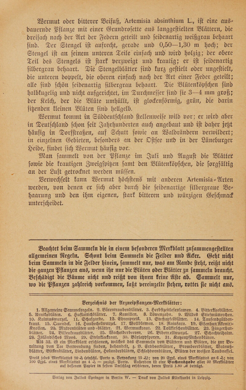 Wermut oder bitterer Beifuß, Artemisia absinthium L., ift eine aus— dauernde Pflanze mit einer Grundrofette aus langgeitielten Blättern, Die dreifach nach der Urt der Federn geteilt und jeidenartig weißgrau behaart find. Der Stengel ift aufrecht, gerade und 0,50—1,30 m Hoch; per Stengel ift an feinem unteren Teile einfach und wird holzig; Der obere Teil des Stengels ift jtarf verzweigt und krautig; er ijt jeivenartig jilbergrau behaart. Die Stengelblätter find kurz gejtielt oder ungeltielt, die unteren doppelt, die oberen einfach nach der Art einer Feder geteilt; alle find ſchön feidenartig jilbergrau behaart. Die Blütenköpfchen ind Halbfugelig und nicht aufgerichtet, im Durchmeſſer find fie 3—4 mm groß; der Stelch, der die Blüte umhüllt, ift glodenförmig, grün, die darin ligenden Heinen Blüten find hellgelb. Wermut kommt in Süddeutjchland ftellenmweije wild vor: er wird aber in Deutjchland fchon feit Jahrhunderten auch angebaut und. iſt daher jebt häufig in Dorfftraßen, auf Schutt fowie an Waldrändern verwildert; in einzelnen Gebieten, beſonders an der Dftfee und im der Siineburger Heide, findet ſich Wermut häufig vor. | Man jammelt von der Pflanze im Juli und Yuguft die Blätter jowie die frautigen Zweigſpitzen ſamt den Blütenköpfchen, die ſorgfältig an der Luft getrocknet werden müſſen. Verwechſelt kann Wermut höchſtens mit anderen ——— Arten werden, von denen er ſich aber durch die ſeidenartige ſilbergraue Bes haarung und den ihm eigenen, ſtark bitteren und mwiürzigen A unterjcheidet.  Beachtet beim Sammeln die in einem befonderen Merfblatt zufammengeftellten allgemeinen Regeln. Schont beim Sammeln die Felder und Acker. Geht nicht beim Sammeln in die Felder hinein, ſammelt nur, was am Rande fteht, reißt nicht die ganzen Pflanzen aus, wenn ihr nur die Blüten oder Blätter zu ſammeln braucht. Beichädigt die Bäume nicht und reißt von ihnen Feine Afte ab. Sammelt nur, wo die Pflanzen zahlreich vorfontmen, laßt vereinzelte ftehen, rottei fie nicht aus, Verzeichnis der Arzneipflanzen-Merfblätter: 1. Allgenteine Sammeltegen. 2. Bürentraubenblätter. 3. Herbftzeitlofenfamen. A. Bitterkleeblätter. 5. Arnikablüten. 6. Huflattichblätter. 7. Kamillen. 8. Löwenzahn. 9. Wildes Stiefmütterchen. 10. Kalmuswurzel. 11. Schafgarbe. 12. Ehrenprei. 13. Stechapfelblätter. 14. Taufendgülden- fcaut. 15. Quendel. 16. Hauhechelwurzel. 17. Wollblumen. 18. Rainfarn. 19. Eifenhut(Akonit)- Knollen. 20. Malvenblüten und =blätter. 21. Wermutfraut. 22. Tollkirſchenblätter. 23. Fingerhut- blätter. 24. Bilfenfrautblätter. 25. Wacholderbeeren. 26. Biberr.elliwurzel. 27. Schadtelhalm. 28. Isländiſches Moos. 29. Steinkleekraut. 30. Bärlappſporen. 31. Katzenpfötchenblüten. ALS 32. iſt ein Merkblatt erſchienen, welches das Sammeln von Blättern und Blüten, die zur Be- reitung von Tee Verwendung finden, behandelt, 3. B. Erdbeerblätter, Brombeerblätter, Walnuß— blätter, Bitfenblätter, Lindenblüten, Holunderblüten, Schlehdornblüten, Blüten der weißen Taubneffel. Preis jedes Merfblattes 109% (einfchl. Porto u. Verpadung 15 9); von 20 Expl. eines Merfhlattes an 6 9; von 100 Erpl. eines Merfolattes an 4 A — zuzügl. Porto. Außerdem tft eine Buchausgabe aller 32 Merkblätter auf bejjerem Papier in feſtem Umfchlag erfchienen, deren Preis 1.80 4 beträgt. :