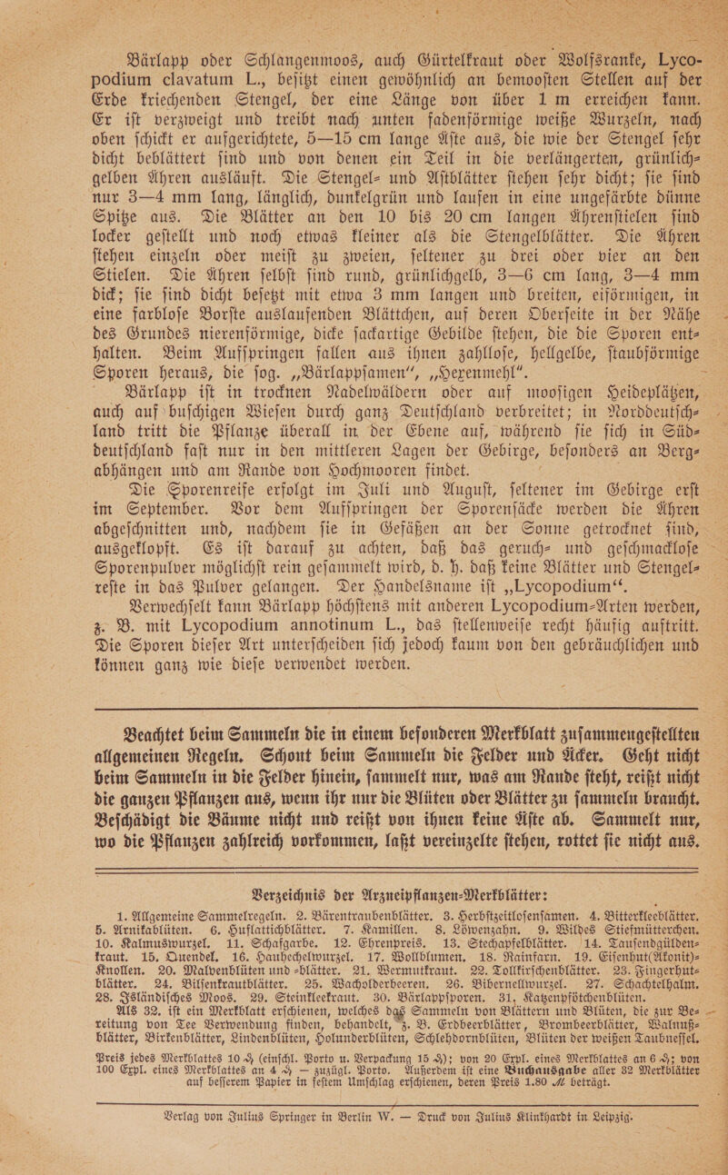 podium clavatum L., bejißt einen gewöhnlich an bemooften Stellen auf der Erde Friechenden Stengel, der eine Länge von über 1m erreichen Tann. oben ſchickt er aufgerichtete, 5—15 cm lange Alte aus, die wie der Stengel ſehr gelben Ahren ausläuft. Die Stengel» und Ajtblätter ſtehen ſehr dicht; Jie find nur 3—4 mm lang, länglich, dunkelgrün und laufen in eine ungefärbte dünne Iocer gejtellt und noch etwas Fleiner al3 die Stengelblätter. Die Ahren ftehen einzeln oder meift zu zweien, jeltener zu drei oder bier an den Stielen. Die Ühren ſelbſt find rund, grünlichgeld, 3-6 cm lang, 3—4 mm Diet; fie ſind dicht bejeßt mit etwa 3 mm langen und breiten, eiförmigen, in eine farbloje Borjte auslaufenden Blättchen, auf deren Oberfeite in der Nähe des Grundes nierenförmige, dide ſackartige Gebilde ftehen, die Die Sporen ent- halten. Beim Aufſpringen fallen aus ihnen zahlioje, hellgelbe, ſtaubförmige  Bärlapp iſt in trocknen Nadelwäldern oder auf mooſigen Heideplätzen, auch auf buſchigen Wieſen durch ganz Deutſchland verbreitet; in Norddeutſch— deutjchland faft nur in den mittleren Lagen der Gebirge, bejonders an abhängen und am Rande von Hochmooren findet. Die Sporenreife erfolgt im Juli und Auguſt, feltener im Gebirge ei im September. Bor dem Aufſpringen der Sporenfäde merden die Ihren abgeschnitten und, nachdem fie in Gefäßen an der Sonne getrodnet Find, Sporenpulver möglichft rein geſammelt wird, d. h. daß feine Blätter und Stengel- tefte in das Pulver gelangen. Der Handelsname ift „Lycopodium‘“. Berwechjelt kann Bärlapp Höchftens mit anderen Lycopodium-Nrten werden, 3. 8. mit Lycopodium annotinum L., da3 ftellenweije recht häufig auftritt. Die Sporen diefer Art unterjcheiden fich jedoch Faum von den gebräuchlichen und fönnen ganz wie dieſe verwendet werden.  die ganzen Pflanzen aus, wenn ihr nur die Blüten oder Blätter zu ſammeln braucht. Beichädigt die Bäume nicht und reift von ihnen Feine Äfte ab. Sammelt nur, wo die Pflanzen zahlreich vorkommen, lat vereinzelte jtehen, rottet fie nicht aus, Verzeichnis der Arzneipflanzen-Merfblätter: £ blätter. 24. Bilfenfrautblätter. 25. Wacholderbeeren. 26. Bibernellwurzel. 27. Schadtelhalnt. 28. Isländiſches Moos. 29. Steinkleefraut. 30. Bärlappiporen. 31 Katzenpfötchenblüten. Als 32. iſt ein Merkblatt erſchienen, welches das Sammeln von Blättern und Blüten, die zur Bes reitung von Tee Verwendung finden, behandelt, 7. B. Erdbeerblätter, Brombeerblätter, Walnude blätter, Birfenblätter, Lindenblüten, Holunderblüten, Schlehdornblüten, Blüten der weißen T Zaubnefjel. Preis jedes Merkblattes 10% (einſchl. Borto ke Verpadung 15 9); von 20 Expl. eines Merfhlattes an 6 A; v auf beſſerem Papier in feſtem umſchlag erſchienen, deren Preis 1.80 4 beträgt. Verlag von Julius Springer in Berlin F — Druck von Julius Klinkhardt in Leipzig. 