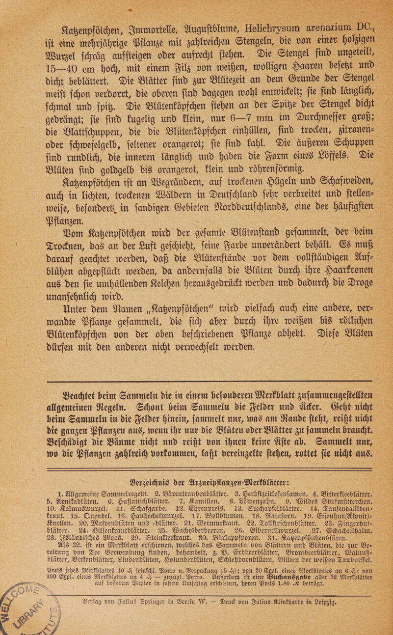  BR % Rabenpfötchen, Immortelle, Auguſtblume, Helichrysum arenarium ‚DE. fchmal und fpig. Die Blütenköpfchen ftehen an der Spitze der Stengel dicht    —— Blüten find goldgelb bis orangerot, klein und röhrenförmig. 2 Rabenpfötchen ift an Wegrändern, auf trocfenen Hügeln und Schafweiden, auch in lichten, trockenen Wäldern in Deutfchland fehr verbreitet und ftellen- weiſe, befonders, in fandigen Gebieten Norddeutſchlands, eine der häufigſten Pflanzen. * Trocknen, das an der Luft gefchieht, feine Farbe unverändert behält. Es muß blühen abgepflückt werden, da andernfalls die Blüten durch ihre Haarkronen unanfehnlich wird. 5 wandte Pflanze gefammelt, die fich aber durch ihre weißen bis vötlichen dürfen mit den anderen nicht verwechjelt werden.  die ganzen Pflanzen aus, wenn ihr nur die Blüten oder Blätter zu ſammeln braucht. Beſchädigt die Bäume nicht und reift von ihnen Feine Site ab. Sammelt nur, Verzeichnis der Arzneipflanzen-Merkblätter: Knollen. 20. Malvenblüten und -blätter. 21. Wermutkraut. 22. Tolffirichenblätter. 23. Fingerhut- 283. Isländiſches Moos. 29. Steinkleefraut. 30. Bärlappfporen. 31. Katzenpfötchenblüten. 100 Expl. eines Merkblattes an 4 — zuzügl. Borto. Außerdem ift eine Buchausgabe aller 32 Merkblätter u auf befjerem Papier in feitem Umfchlag erfchienen, deren Preis 1.80 A beträgt. Verlag von Julius Springer in Berlin W. — Drud von Julius Klinkhardt in Leipzig.  