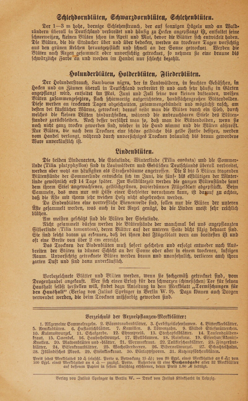  SE) Ichwärzliche BER an und werden im Handel nur jchlecht bezahlt. Holunderblüten, Holderblüten, Fliederblüten. beften bei künstlicher Wärme, getrodnet; darauf reibt man die Blüten durch ein Gieb, durch welches die Kleinen Blüten — während die unbrauchbaren Stiele des Blüten- ftandes zurüchleiben. Noch beſſer verfährt man fo, daß man die Blütendolden, wenn fie noch nicht ganz troden geworden find, wieder in die Hand nimmt und die Blüten abftreift. vom Handel verlangt, während dur) ERBE Trodnen bräunlid) bi braun gewordene Ware m iſt. Lindenblüten. Iinde (Tilia platyphyllos) find in Zaubmwäldern und Gebüſchen Deutichlands überall verbreitet, Sammeln, da3 man nur mit Hilfe einer Gtehleiter vornehmen fann, ift darauf zu achten, daß die Äſte mit ihrem jehr weichen Holz nicht abgebrochen werden. Da Lindenblüten eine bortreffliche Bienenweide find, jollen nur die Blüten der unteren blühen. Am meiften gefchäbt find die Blüten der Gteinlinde. Silberlinde (Tilia tomentosa), deren Blätter auf der unteren Seite dicht filgig behaart find. oft eine Breite von über 2 cm erreicht. zarten Duft und find dann unverfäuflid) h —9 verwendet werden, die beim Trocknen mißfarbig geworden find. =  Verzeichnis der Arzneipflanzen-Merfplätter: 1. Allgemeine Sammelregeln. 2. Bärentraubenbfätter. 3. Herbitzeitlofenfanten. 4. Bitterflechlätter, 5. Arnifablüten. 6. Huflattichblätter. 7. Kamillen. 8. Löwenzahn. 9. Wildes Stiefmütterchen fraut. 15. Quendel. 16. Hauhechelwurzel. 17. Wollblumen. 18. Rainfarn. 19. Eiſenhut(Akonit)⸗ Knollen. 20. Malvenblüten und -blätter. 21. Wermutfraut. 22. Tollkirſchenblätter. 23. Fingerhut- 23. Isländiſches Moos. 29. Steinfleefraut. 30. Bärlappiporen. 31. Katzenpfötchenblüten. Preis jedes Merkblattes 109 (einſchl. Porto ı. Verpackung 15 9); von 20 Expl. eines Merkblattes an 6%; von 3 auf beſſerem Papier in feſtem Umſchlag erſchienen, deren Dan 1. 80 A beträgt. Berlag von Suting Springer in Berlin W. — Druck von Julius Klinkhardt in Leipzig. ——— L t h RAN er ng ee ln a A 1 yes ae Beh dr u IE —— Bat ee RE ER ER ARE ——