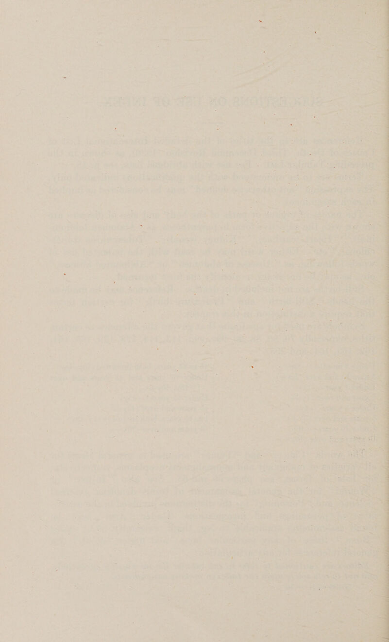 = oe Ades a oe ag iekey*) at ees 2 Ass Nat a te A # ae 2 