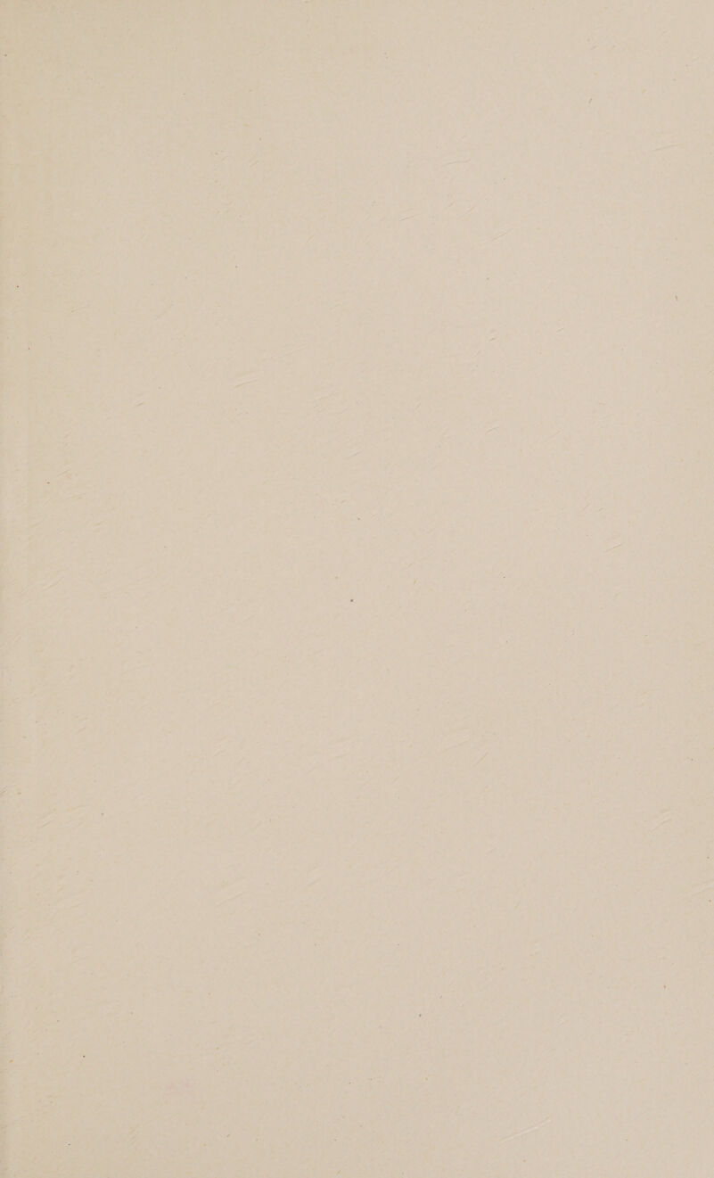 ~— 