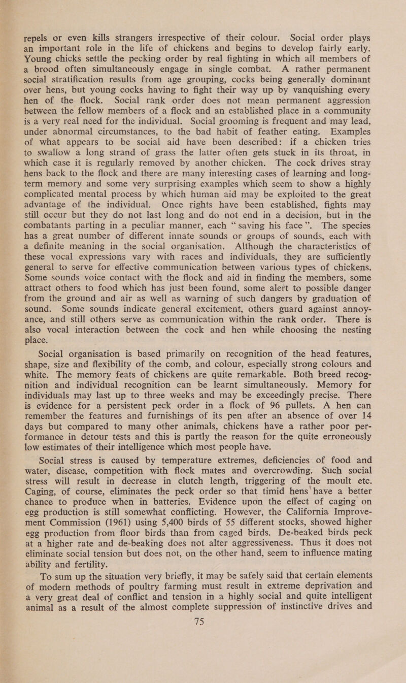 repels or even kills strangers irrespective of their colour. Social order plays an important role in the life of chickens and begins to develop fairly early. Young chicks settle the pecking order by real fighting in which all members of a brood often simultaneously engage in single combat. A rather permanent social stratification results from age grouping, cocks being generally dominant over hens, but young cocks having to fight their way up by vanquishing every hen of the flock. Social rank order does not mean permanent aggression between the fellow members of a flock and an established place in a community is a very real need for the individual. Social grooming is frequent and may lead, under abnormal circumstances, to the bad habit of feather eating. Examples of what appears to be social aid have been described: if a chicken tries to swallow a long strand of grass the latter often gets stuck in its throat, in which case it is regularly removed by another chicken. The cock drives stray hens back to the flock and there are many interesting cases of learning and long- term memory and some very surprising examples which seem to show a highly complicated mental process by which human aid may be exploited to the great advantage of the individual. Once rights have been established, fights may still occur but they do not last long and do not end in a decision, but in the combatants parting in a peculiar manner, each “saving his face”. The species has a great number of different innate sounds or groups of sounds, each with a definite meaning in the social organisation. Although the characteristics of these vocal expressions vary with races and individuals, they are sufficiently general to serve for effective communication between various types of chickens. Some sounds voice contact with the flock and aid in finding the members, some attract others to food which has just been found, some alert to possible danger from the ground and air as well as warning of such dangers by graduation of sound. ‘Some sounds indicate general excitement, others guard against annoy- ance, and still others serve as communication within the rank order. There is also vocal interaction between the cock and hen while choosing the nesting place. Social organisation is based primarily on recognition of the head features, shape, size and flexibility of the comb, and colour, especially strong colours and white. The memory feats of chickens are quite remarkable. Both breed recog- nition and individual recognition can be learnt simultaneously. Memory for individuals may last up to three weeks and may be exceedingly precise. There is evidence for a persistent peck order in a flock of 96 pullets. A hen can remember the features and furnishings of its pen after an absence of over 14 days but compared to many other animals, chickens have a rather poor per- formance in detour tésts and this is partly the reason for the quite erroneously low estimates of their intelligence which most people have. Social stress is caused by temperature extremes, deficiencies of food and water, disease, competition with flock mates and overcrowding. Such social stress will result in decrease in clutch length, triggering of the moult etc. Caging, of course, eliminates the peck order so that timid hens have a better chance to produce when in batteries. Evidence upon the effect of caging on egg production is still somewhat conflicting. However, the California Improve- ment Commission (1961) using 5,400 birds of 55 different stocks, showed higher egg production from floor birds than from caged birds. De-beaked birds peck at a higher rate and de-beaking does not alter aggressiveness. Thus it does not eliminate social tension but does not, on the other hand, seem to influence mating ability and fertility. To sum up the situation very briefly, it may be safely said that certain elements of modern methods of poultry farming must result in extreme deprivation and a very great deal of conflict and tension in a highly social and quite intelligent animal as a result of the almost complete suppression of instinctive drives and
