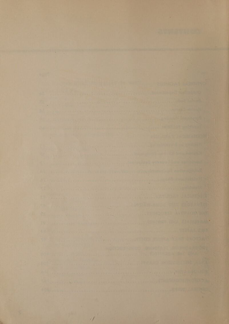 '2es 4 a wie sya, + 80 ’ 4 we Ole «_ Fee  - o &lt; ’ - as . 5 “e ? ts i * ¥ ; ~4 —e a ¢ \ 6 a + é . : : ao ; she “+ is aati 8b Se Ree : F Ps eee. § aa jee eae * Page ee Ae ae Bic: ‘ ‘&amp; «4% bei . q Mts 2 ee a 4 ra ' fe vee  ow. “ ee, ale re | re Ha Winied ingetgham a 4 cohghegl: i ual A aie we , d &gt; e ’ &gt; oe 4 8 Fe oe ee 7 — 4 Aor, &gt; oy went “ea ‘ apes arg). ‘.. Fd i save eab a te &amp; oe) hit ] y ot eee 7 ee ee ee a PA + &amp;* . “55150 &amp; 4 S50 a r : f heel! Li naires usTeMoy     Lin Ae - e ae ery © «ee ivd aaa wy +s ae a a we cay 4 j Aa Areas Ore aoe é “a “Nee ee ate ices, ale ; be kh hae shan Sr eines a, 4 o. eee if p : ne = te