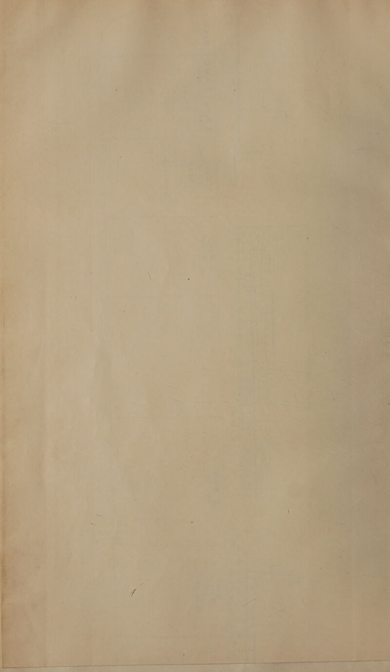   a sie ig ne : Srp : : ¢ —_ os t o, rg or a in ae _ S ee ss ee er ee Sy atl iat “a oe : “aes ns. ee j Pie)! ek eee Ge — » - P Zs) te . “ ; Va