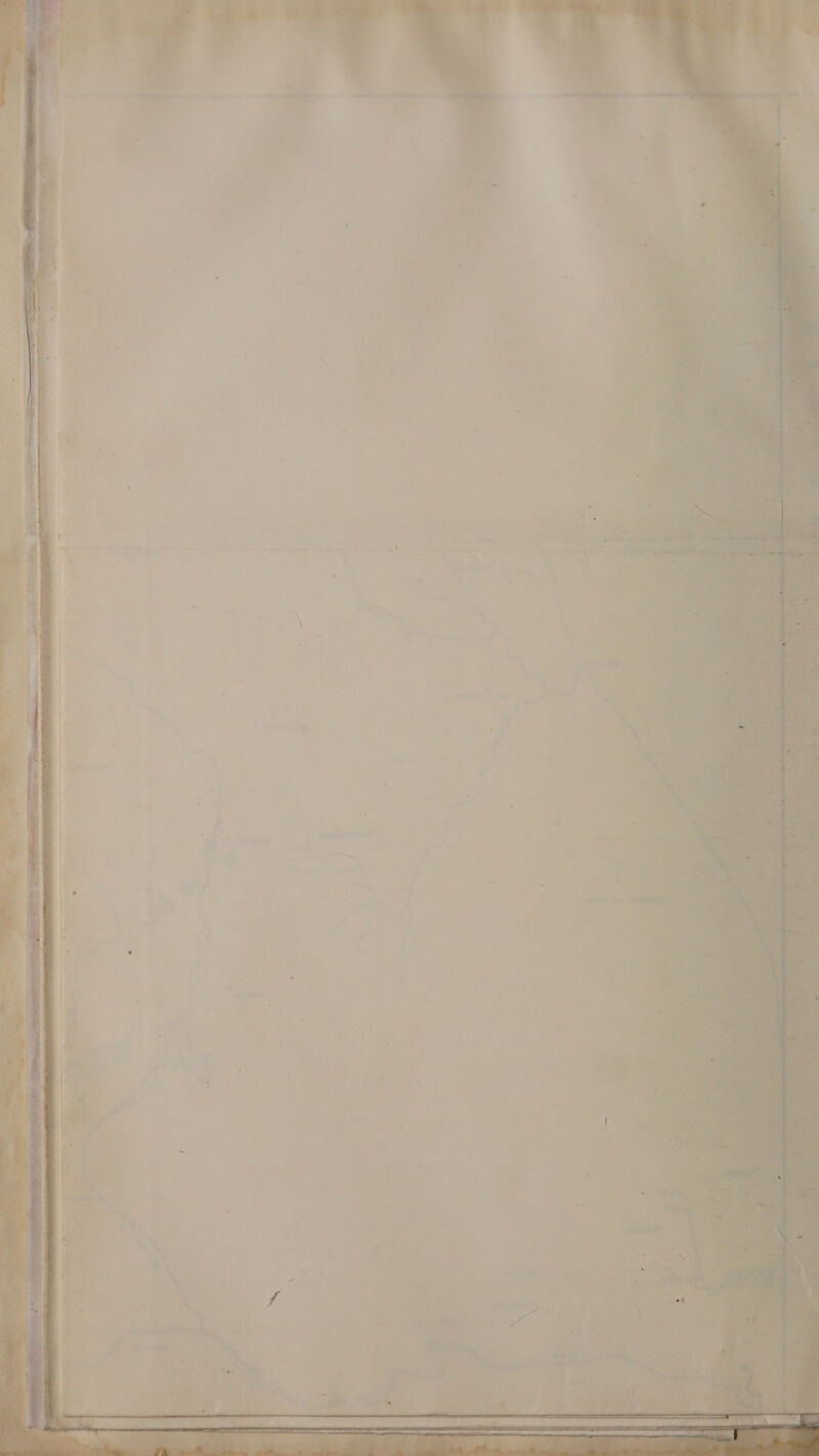 ce ws ~e AOo Pw . + * ° J # di , oa” » 7; oe eee 2 ea Oe . ; witty Seba) ee re a ee es  