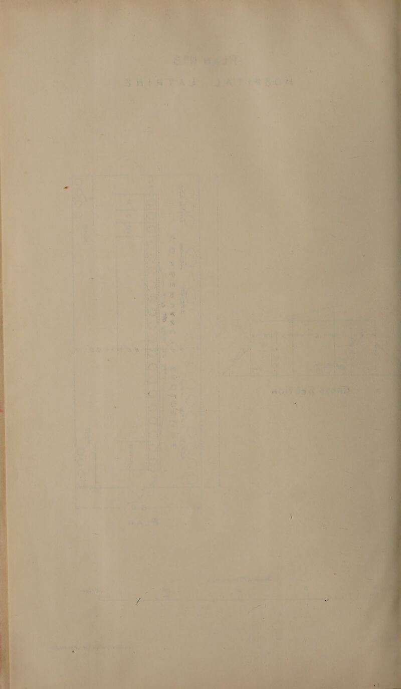 a Pasorbasns ‘ Dente nee Siar mee eet nea PEN e” ret soe om ‘ ad ‘ eineat hes ote eS b ‘ ets’