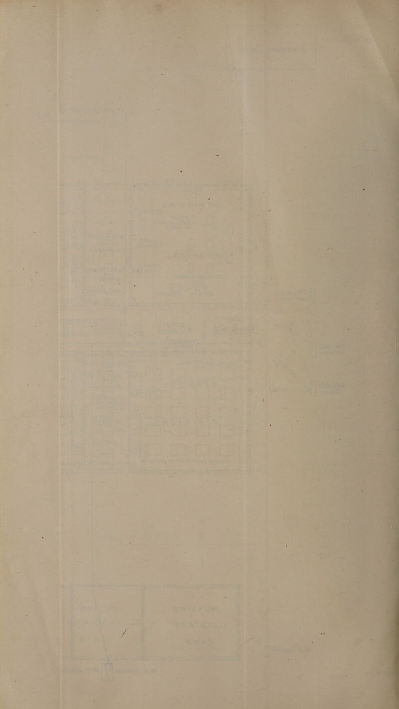 ie . * e Pp wees ¢ « ~e . Fs ’ - 1 , . * ‘i ihe <5 . + . ° ae 5 i > A - i ws “ 4 ; &amp; >i . = ‘ 1 .y = 2 2 . v .     - ~ = “ < - £ 7. 20 a ° * 4 4 3 | Peed ee = a 2 @ =? : : Re ist 5 a ~ ih. . bad a iJ . i - ' 1 wee ae ; ‘ rho 9 ees |, my 4 *- 7 ¥e* -t i ae | “ . 4 2 = 7% - ~ + = a. ’ 8 a oP} : 7 - ¢ 7 ¢ 2 ~ = : : Piet fs © \ y on . iy ‘ wy * = ? ¢ y f = ce . + ES < 4 ’ =) ot Se , ¥ ~ uF . ? ’ f ee rege ae Ete. % bs . 7 Oy