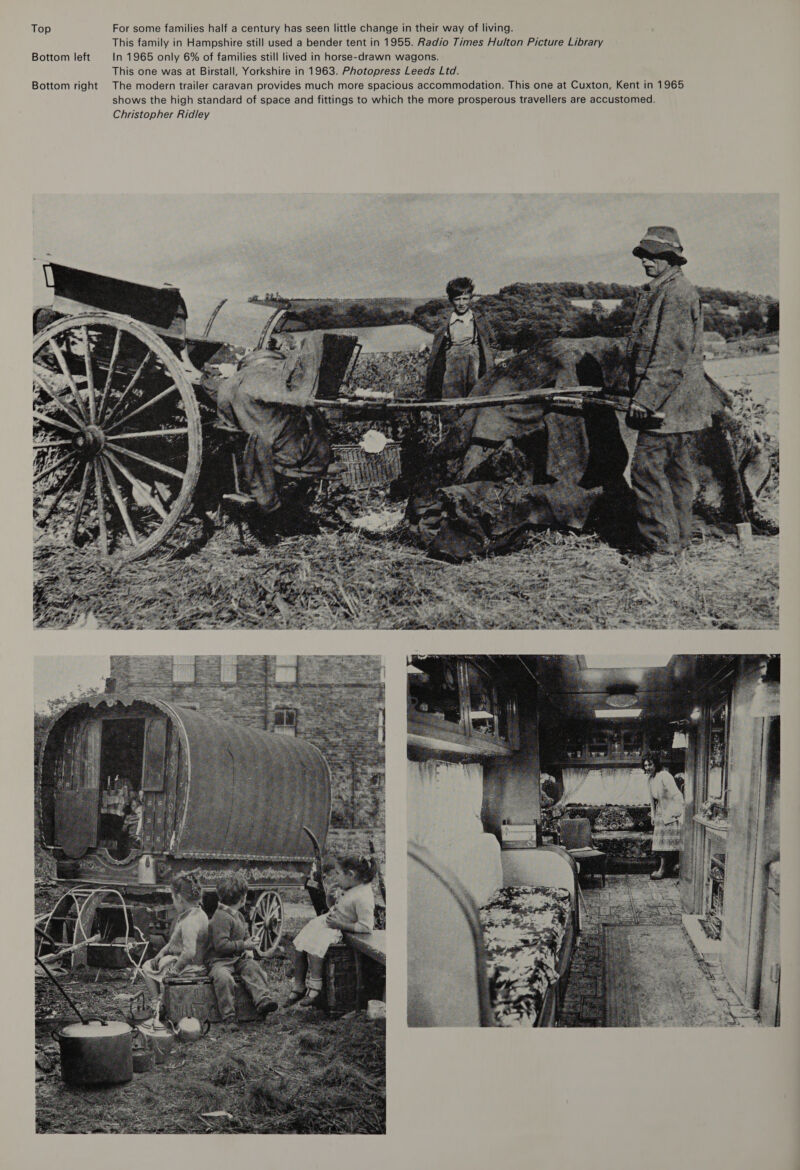 Top For some families half a century has seen little change in their way of living. This family in Hampshire still used a bender tent in 1955. Radio Times Hulton Picture Library Bottom left In 1965 only 6% of families still lived in horse-drawn wagons. This one was at Birstall, Yorkshire in 1963. Photopress Leeds Ltd. Bottom right The modern trailer caravan provides much more spacious accommodation. This one at Cuxton, Kent in 1965 shows the high standard of space and fittings to which the more prosperous travellers are accustomed. Christopher Ridley aha 