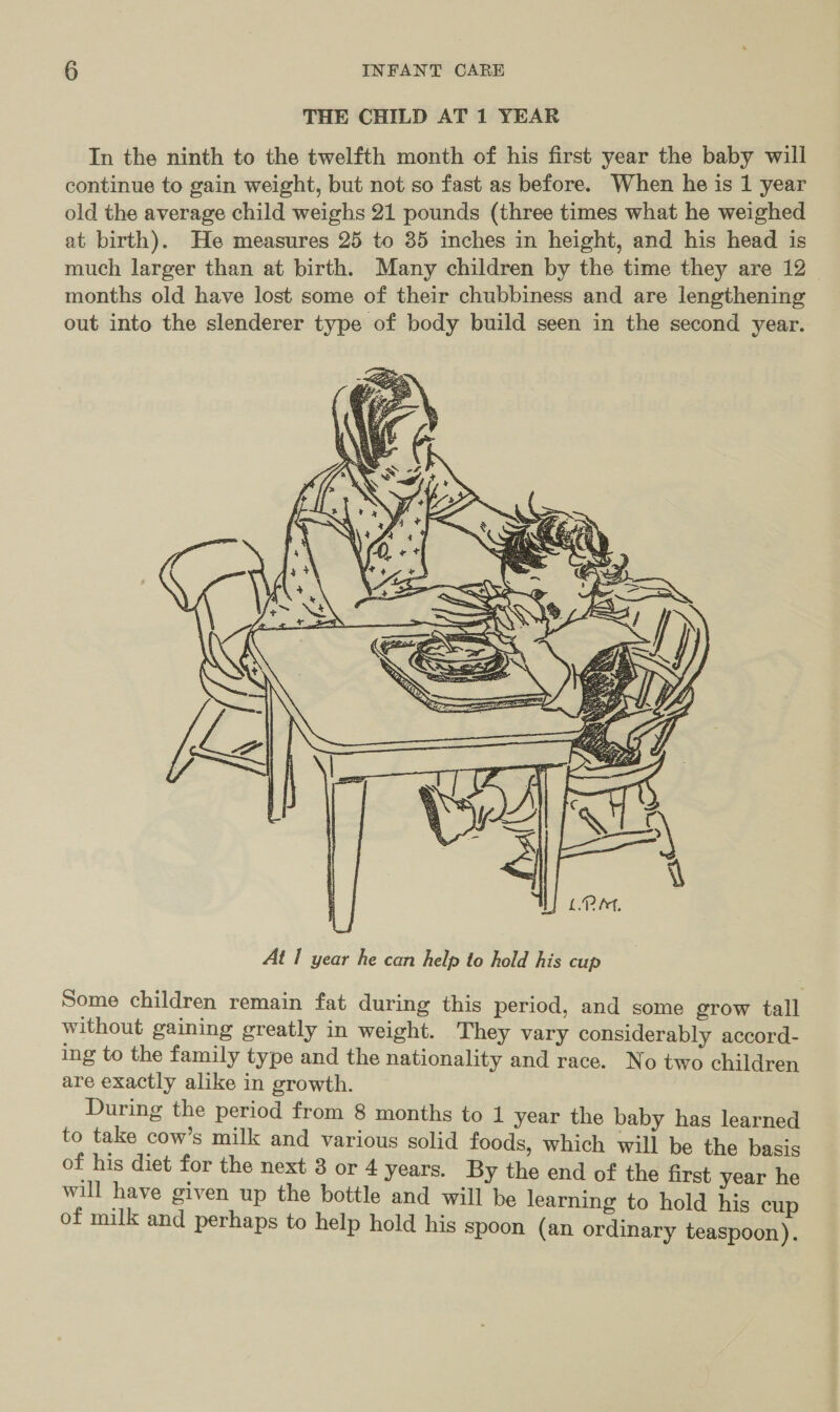 THE CHILD AT 1 YEAR In the ninth to the twelfth month of his first year the baby will continue to gain weight, but not so fast as before. When he is 1 year old the average child weighs 21 pounds (three times what he weighed at birth). He measures 25 to 35 inches in height, and his head is much larger than at birth. Many children by the time they are 12 months old have lost some of their chubbiness and are lengthening out into the slenderer type of body build seen in the second year.  Some children remain fat during this period, and some grow tall without gaining greatly in weight. They vary considerably accord- ing to the family type and the nationality and race. No two children are exactly alike in growth. During the period from 8 months to 1 year the baby has learned to take cow’s milk and various solid foods, which will be the basis of his diet for the next 8 or 4 years. By the end of the first year he will have given up the bottle and will be learning to hold his cup of milk and perhaps to help hold his spoon (an ordinary teaspoon).