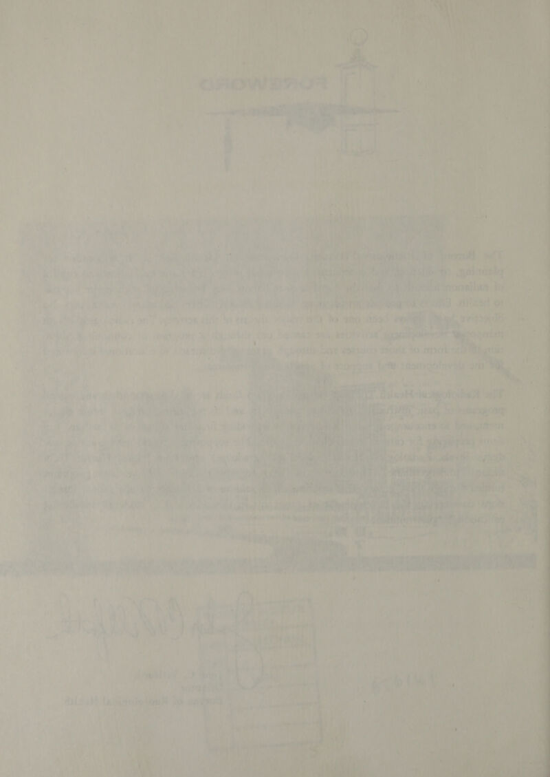 i Vigne sialic hah ea &gt; ‘ ; AY rages 14 D ‘ CRM an: Ne Marre sk e ie La | PAE NBC CE sony beer tuts let ergs uc eens Fe 9 A hwy LY nove e foutcns - ) Thais ae ‘1 te Likeagns' ot oni Pore sy aie a us as ’ Ani +g Mae! ; E ; ae we ria Pir .eatord ae ‘ wa me x if fa ar o r sie pug rye mers rt Nyhiawe i he » J » ol oma  a nN { die Bed fi: + ao Atel : et aa: oe hag hate Pr és eae hy, ‘ Mbeenpere 1 nes, , wy Bic OM tae ae 1 aes Vary: ; age friaus ist 7 ni + y i % ee ppg! ity 13 Hy } a . . Be ‘ e ie : a a ‘y | Sats             a aie, &gt;. ea a oS ae * uf . WR rss mth &lt;; | red 4 &gt; Ge 7, i: ’ Sale wr 1 MA 4 , 4 iJ &lt; wee : 7 git 2) * aS | a i.