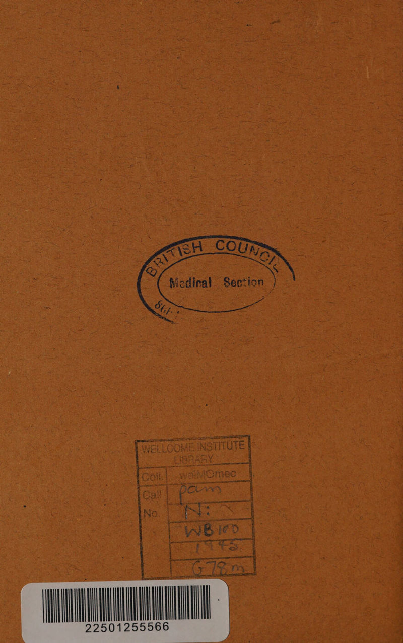  ae bc tivmmcsnnin gett: » tape Traore  