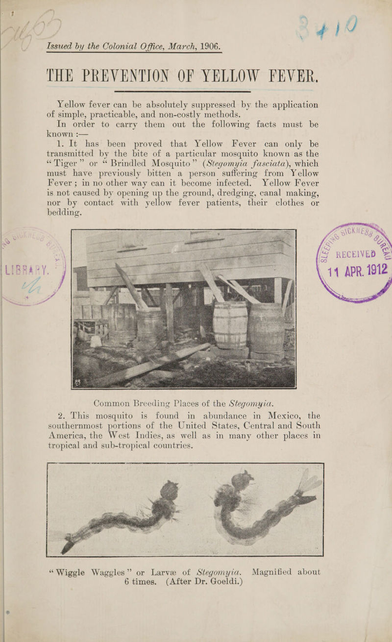  7 2 ; “ 3 tp ; j d Yi ™ F r : ty ; ,. \f Z J ul aa | a ‘ Issued by the Colonial Office, March, 1906. THE PREVENTION OF YELLOW FEVER. Yellow fever can be absolutely suppressed by the application of simple, practicable, and non-costly methods. In order to carry them out the following facts must be known :— 1. It has been proved that Yellow Fever can only be eo by the bite of a particular mosquito known as the “Tiger” or “ Brindled Mosquito” (Stegomyia fasciata), which must ible previously bitten a person suffermg from Yellow Fever ; in no other way can it become infected. Yellow Fever is not caused by opening up the ground, dredging, canal making, nor by contact with yellow fever patients, their clothes or bedding.     fe RECEIVED oa 14 APR 1912    Common Breeding Places of the Stegomyia. 2. This mosquito is found in abundance in Mexico, the southernmost portions of the United States, Central and South America, the West Indies, as well as in many other places in tropical and sub-tropical countries.  