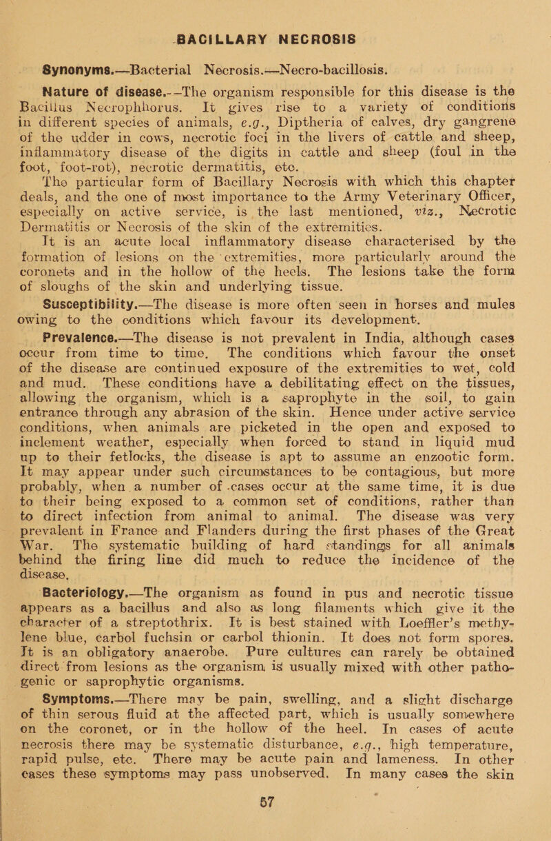 -BACILLARY NECROSIS Synonyms.—Bacterial Necrosis.—Necro-bacillosis. Nature of disease.--The organism responsible for this disease is the Bacillus Necrophhorus. It gives rise te a variety of conditions in different species of animals, e.g., Diptheria of calves, dry gangrene of the udder in cows, necrotic foci in the livers of cattle and sheep, inflammatory disease of the digits in cattle and sheep (foul in the foot, foot-rot), necrotic dermatitis, ete. The particular form of Bacillary Necrosis with which this chapter deals, and the one of most importance to the Army Veterinary Officer, especially on active service, is the last mentioned, viz., Necrotic Dermatitis or Necrosis of the skin of the extremities. It is an acute local inflammatory disease characterised by the formation of lesions on the ‘extremities, more particularly around the ecoronets and in the hollow of the heels. The lesions take the form of sloughs of the skin and underlying tissue. Susceptibility. The disease is more often seen in horses and mules owing to the conditions which favour its development. Prevalence.—The disease is not prevalent in India, although cases occur from time to time, The conditions which favour the onset of the disease are continued exposure of the extremities to wet, cold and mud. These conditions have a debilitating effect on the tissues, allowing the organism, which is a saprophyte in the soil, to gain entrance through any abrasion of the skin. Hence under active service conditions, when animals are picketed in the open and exposed to inclement weather, especially when forced to stand in liquid mud up to their fetlocks, the disease is apt to assume an enzootic form. It may appear under such circumstances to be contagious, but more probably, when a number of .cases occur at the same time, it is due to their being exposed to a common set of conditions, rather than to direct infection from animal to animal. The disease was very prevalent in France and Flanders during the first phases of the Great War. The systematic building of hard standings for all animals Bind the firing line did much to reduce the incidence of the isease, ‘Bacteriology.—_The organism as found in pus and necrotic tissue appears as a bacillus and also as long filaments which give it the character of a streptothrix. It is best stained with Loeffler’s methy- lene blue, carbol fuchsin or carbol thionin. It does not form spores. Jt is an obligatory anaerobe. Pure cultures can rarely be obtained direct from lesions as the organism is usually mixed with other patho- genic or saprophytic organisms. Symptoms.—There may be pain, swelling, and a slight discharge of thin serous fluid at the affected part, which is usually somewhere on the coronet, or in the hollow of the heel. In cases of acute necrosis there may be systematic disturbance, e.g., high temperature, rapid pulse, etc. There may be acute pain and lameness. In other cases these symptoms may pass unobserved. In many cases the skin 
