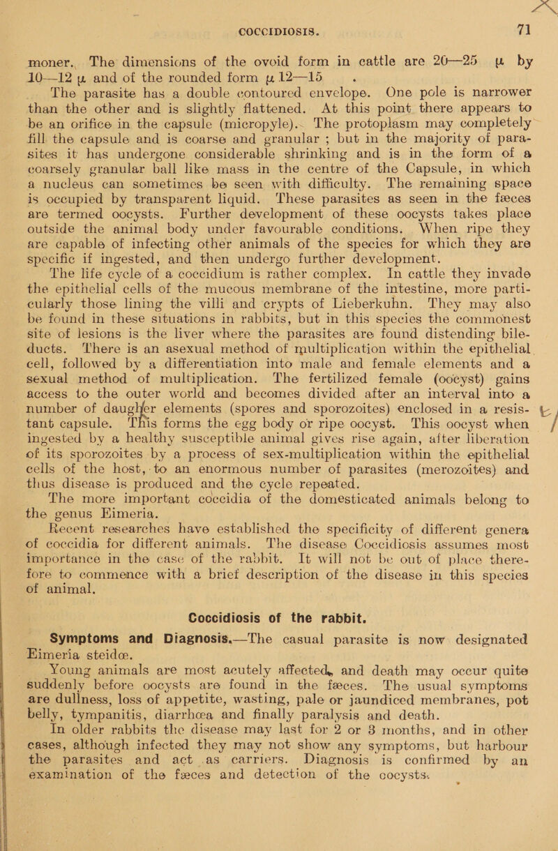  moner.. The dimensions of the ovoid form in cattle are 20-25 wu by 10—12 » and of the rounded form p 12—15 The parasite has a double contoured envelope. One pole is narrower than the other and is slightly flattened. At this point there appears to fill the capsule and is coarse and granular ; but in the majority of para- sites it has undergone considerable shrinking and is in the form of 4 coarsely granular ball like mass in the centre of the Capsule, in which a nucleus can sometimes be seen with difficulty. The remaining space is occupied by transparent liquid. ‘These parasites as seen in the feces are termed oocysts. Further development of these oocysts takes place outside the animal body under favourable conditions. When ripe they are capable of infecting other animals of the species for which they are specific if ingested, and then undergo further development. The life cycle of a coccidium is rather complex. In cattle they invade the epithelial cells of the mucous membrane of the intestine, more parti- cularly those lining the villi and crypts of Lieberkuhn. They may also be found in these situations in rabbits, but in this species the commonest site of lesions is the liver where the parasites are found distending’ bile- cell, followed by a differentiation into male and female elements and a sexual method of multiplication. The fertilized female (oocyst) gains access to the outer world and becomes divided after an interval into a number of daugher elements (spores and sporozoites) enclosed in a resis- tant capsule. This forms the egg body or ripe oocyst. This oocyst when ingested by a healthy susceptible animal gives rise again, after liberation of its sporozoites by a process of sex-multiplication within the epithelial cells of the host,-to an enormous number of parasites (merozoites) and thus disease is produced and the cycle repeated. The more important coccidia of the domesticated animals belong to the genus Himeria. Recent researches have established the specificity of different genera of coccidia for different animals. The disease Coccidiosis assumes most importance in the case of the rabbit. It will not be out of place there- fore to commence with a brief description of the disease in this species of animal. Coccidiosis of the rabbit. Symptoms and Diagnosis. Eimeria steide. _ Young animals are most acutely affected, and death may occur quite suddenly before oocysts are found in the feces. The usual symptoms are dullness, loss of appetite, wasting, pale or jaundiced membranes, pot belly, tympanitis, diarrhoea and finally paralysis and death. In older rabbits the disease may last for 2 or 8 months, and in other cases, although infected they may not show any symptoms, but harbour the parasites and act .as carriers. Diagnosis is confirmed by an examination of the feeces and detection of the cocysts. The casual parasite is now. designated  ig